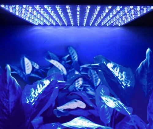 HQRP 56W 900 Blue LED Spectrum Hydroponic Plant Grow Light Panels / Lamps + Hanging Kit