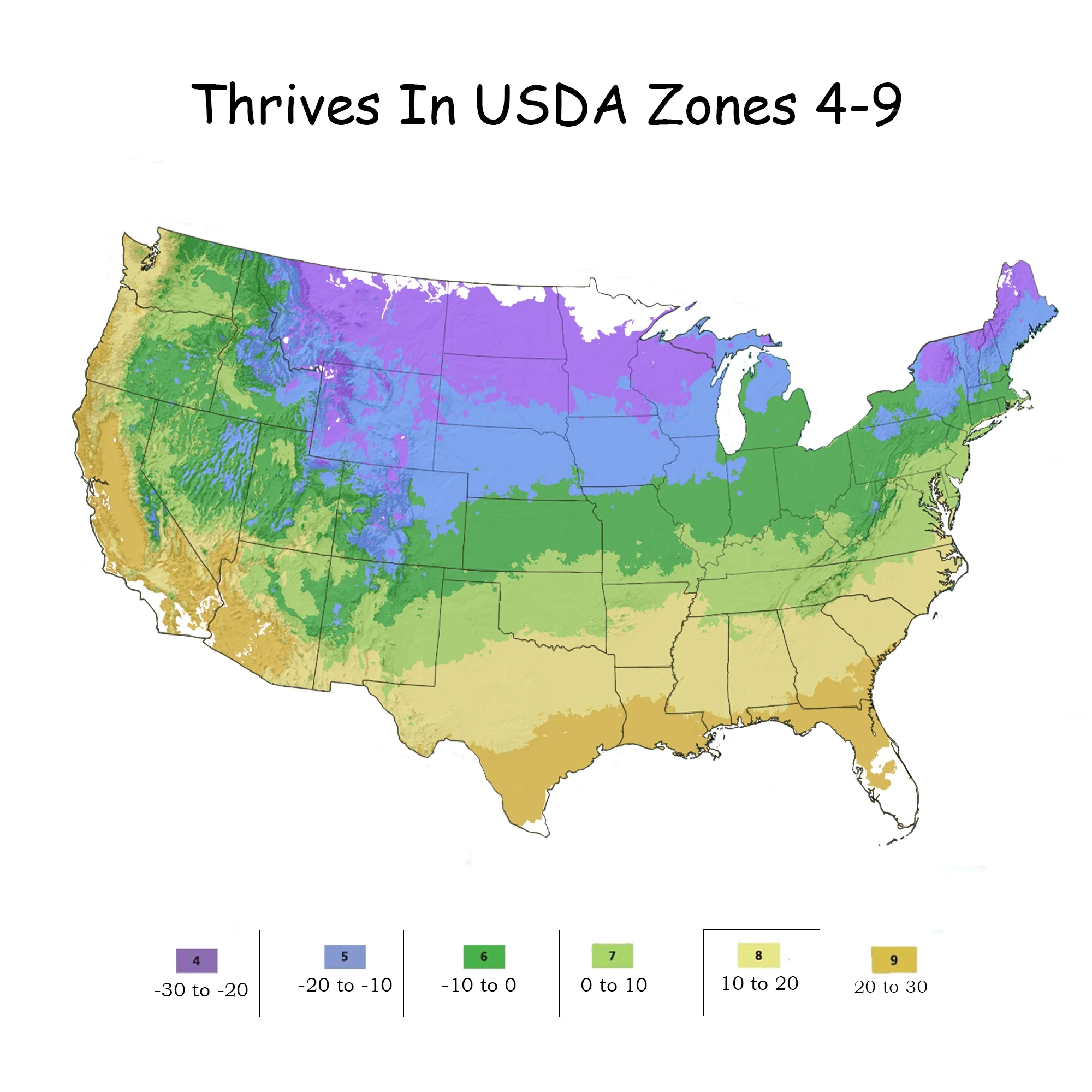 Endless Summer Hydrangea Summer Crush Live Shrub (5 Gallon)