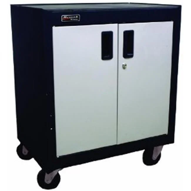 Steel 2 Door Mobile Cabinet With Gliding Shelf