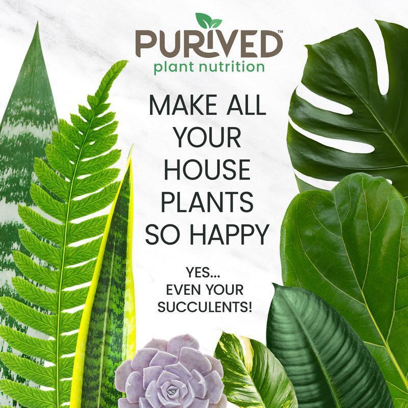 Purived Houseplant Fertilizer | 20oz Concentrate Makes 50 Gallons