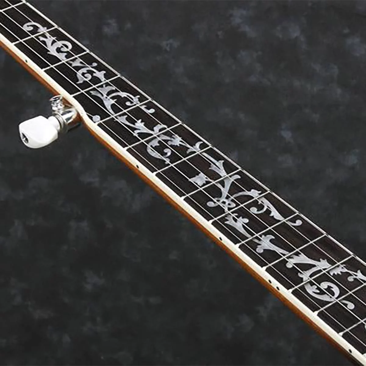 Ibanez B300 5-String Banjo