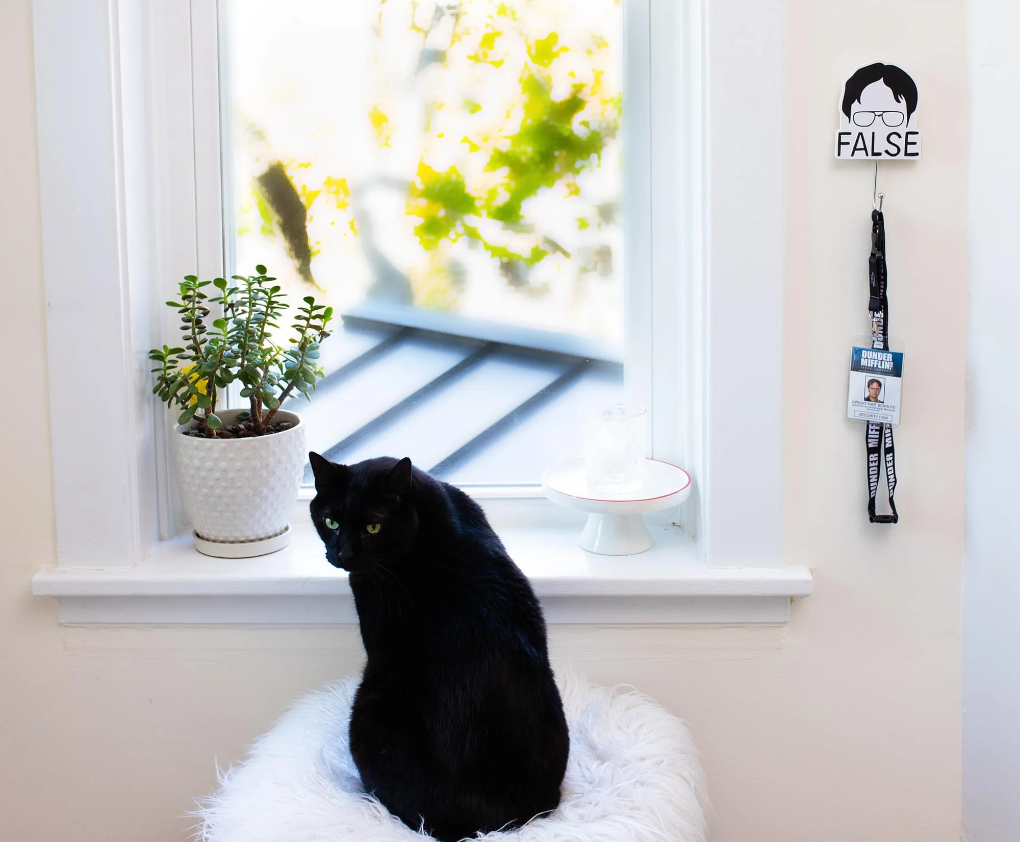 The Office Icons Die-Cut Coat Hanger Wall Hooks | Set of 3