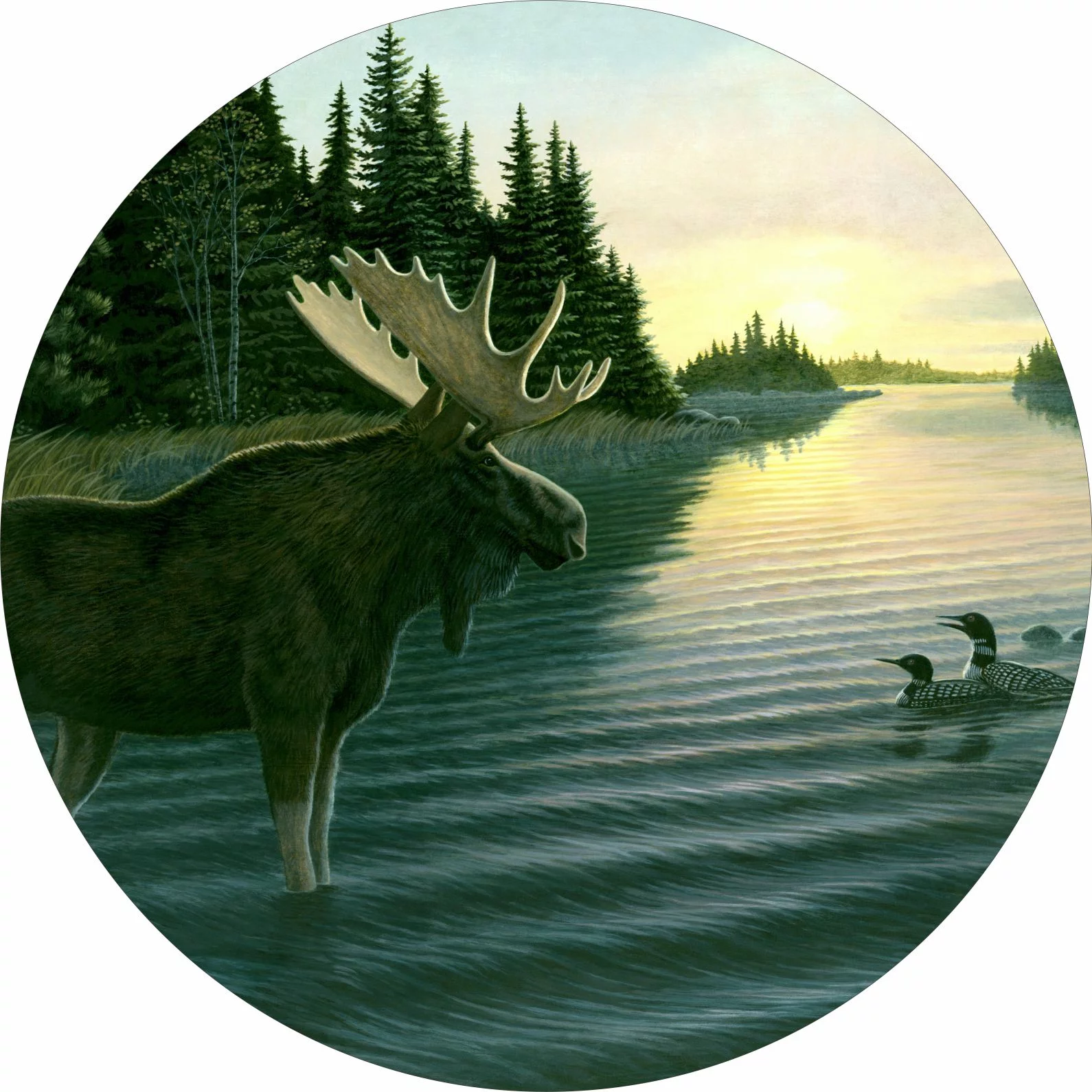 Tire Cover Central Moose & Loon Bird on Lake Black Vinyl Spare Tire Cover 31x10.50x15