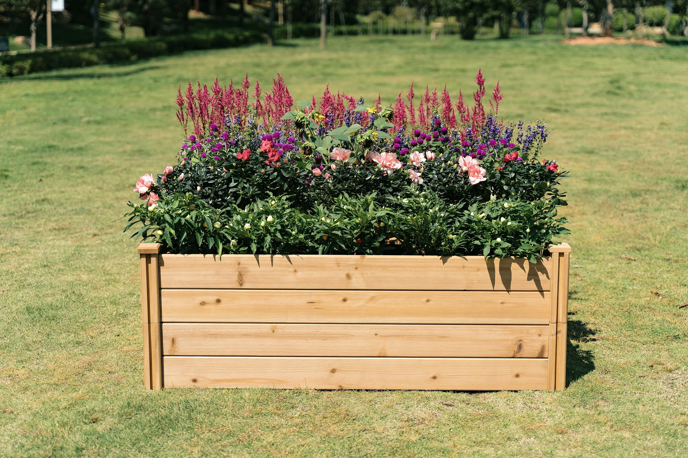 Timber Valley Dual Purpose 48