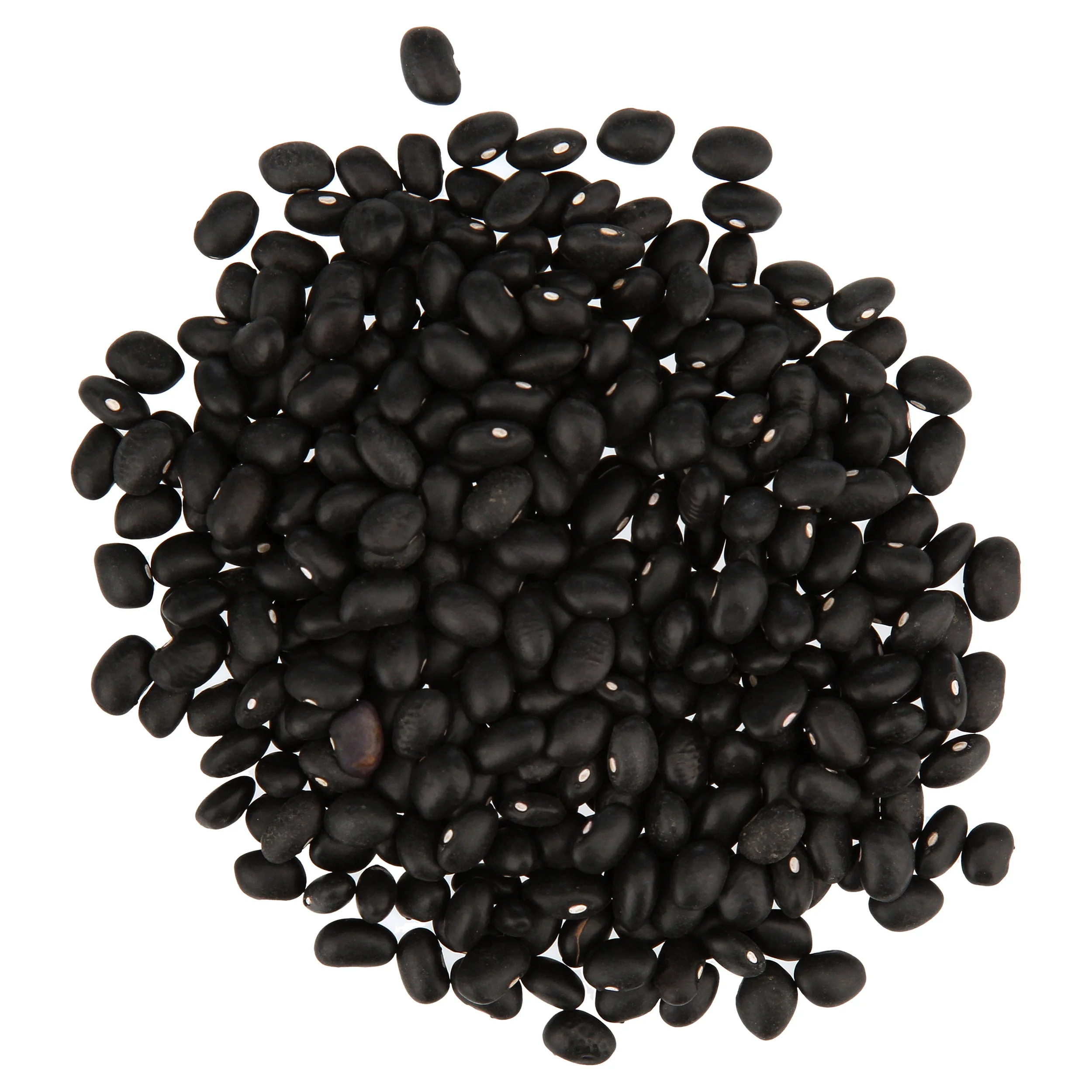 Goya No. 1 Grade Black Beans, 16 oz Bag