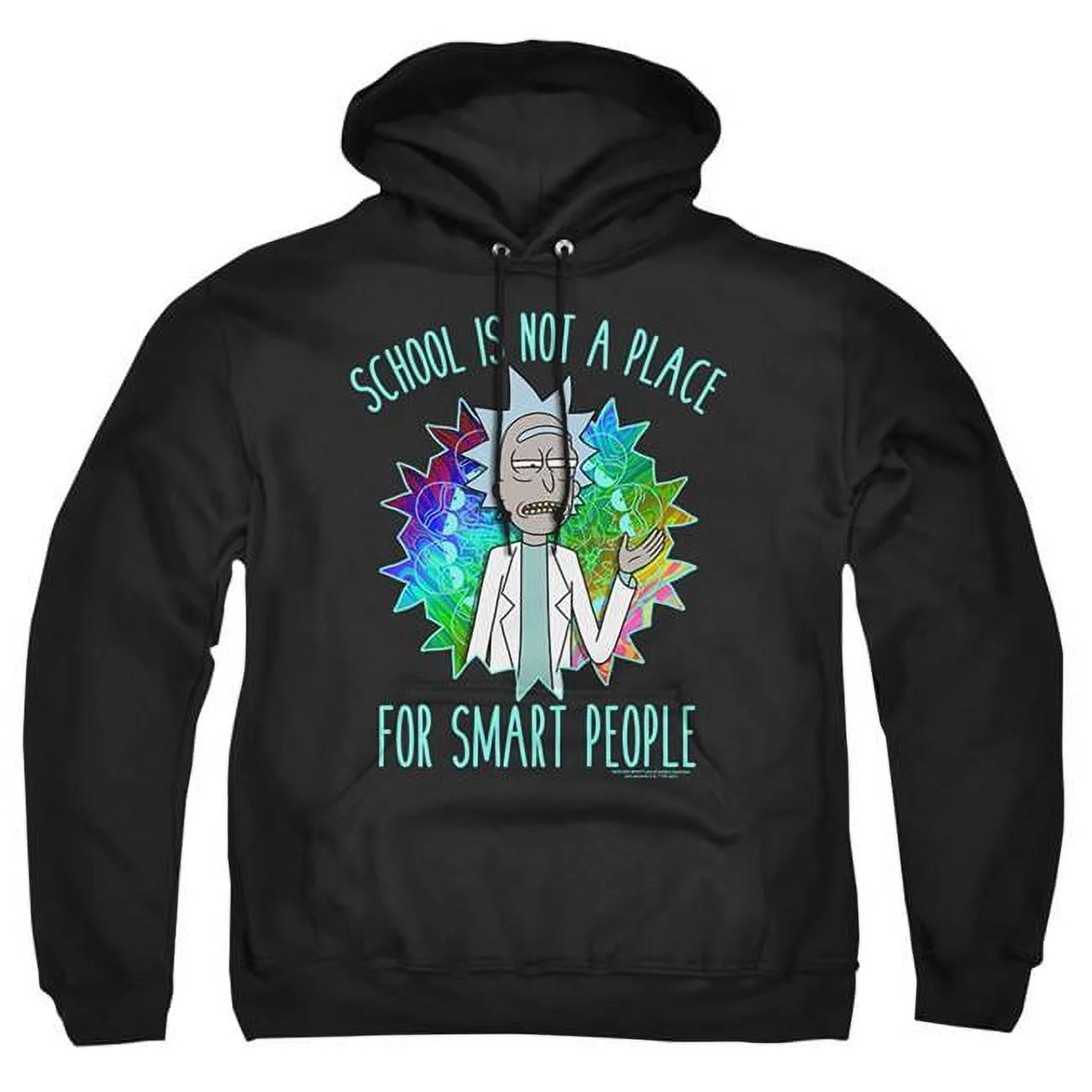 Rick & Morty School-Adult Pull-Over Hoodie, Black - 4X