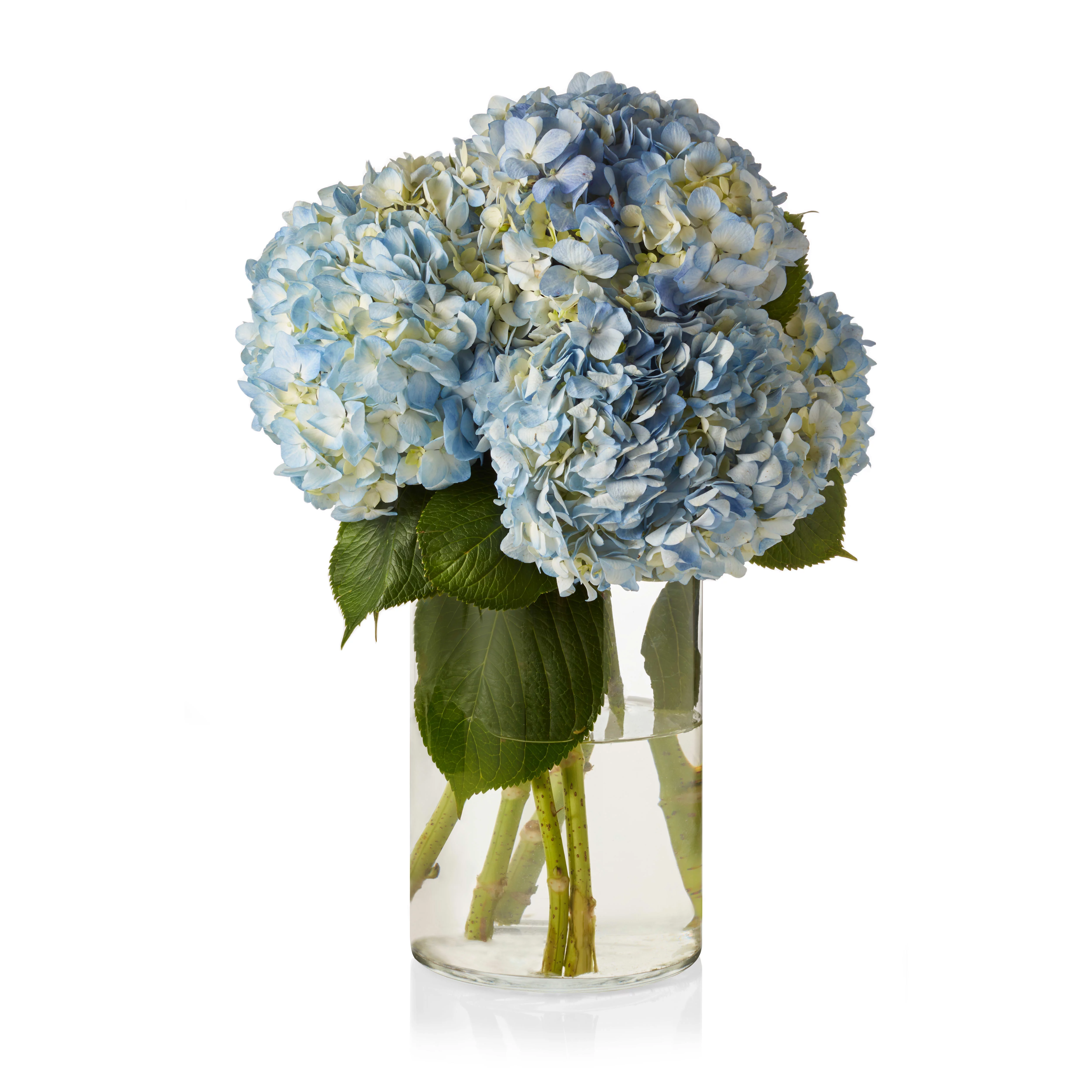 Libbey Cylinder Vase, 9.7-inch by 6.2-inch, Set of 2