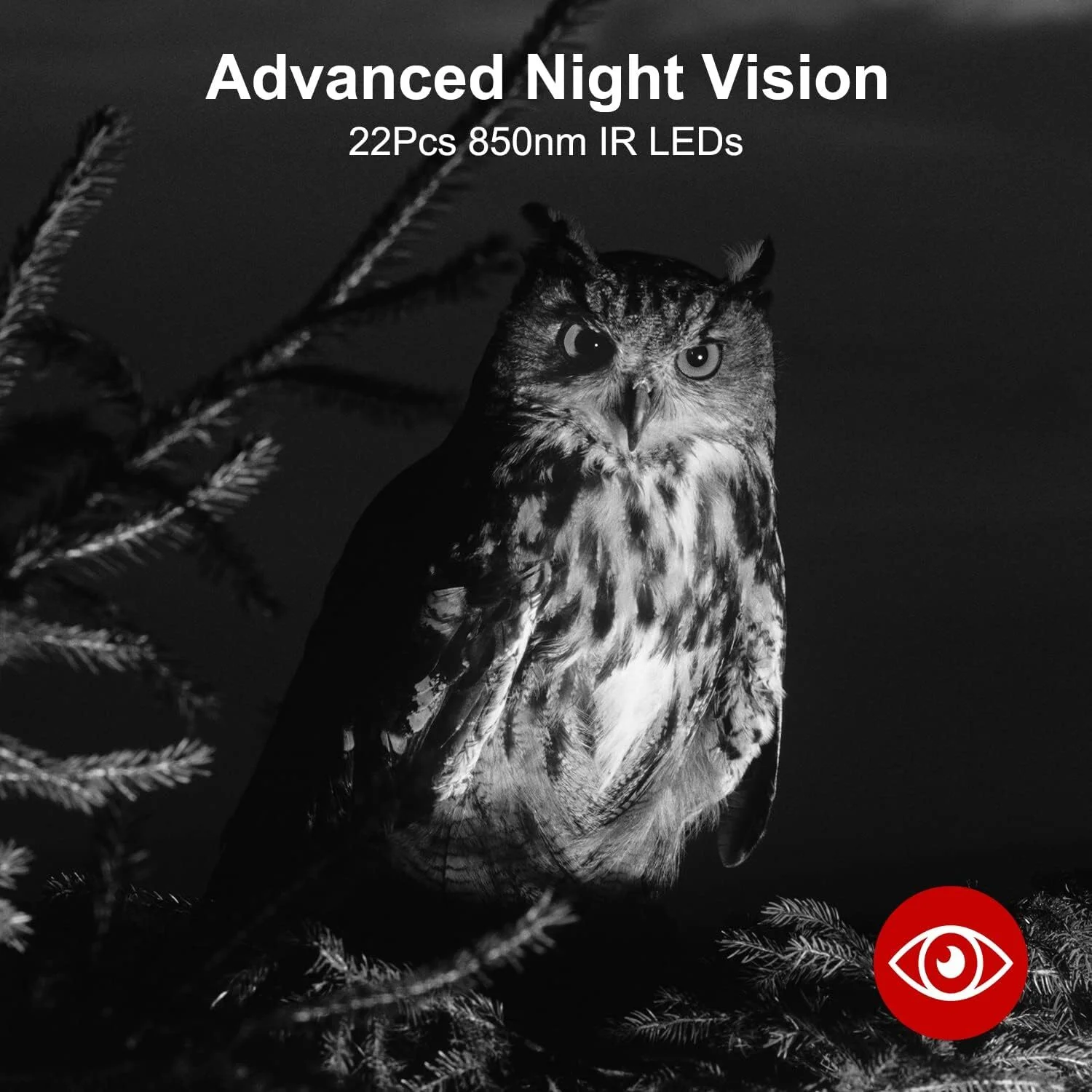 CAMPARK Trail Camera with SD Card 24MP 1080P Game Hunting Deer Camera Night Vision Motion Activated