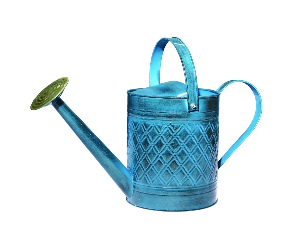 Robert Allen Robert Allen MPT01503 Wexley Watering Can, Metal, 2 gallon