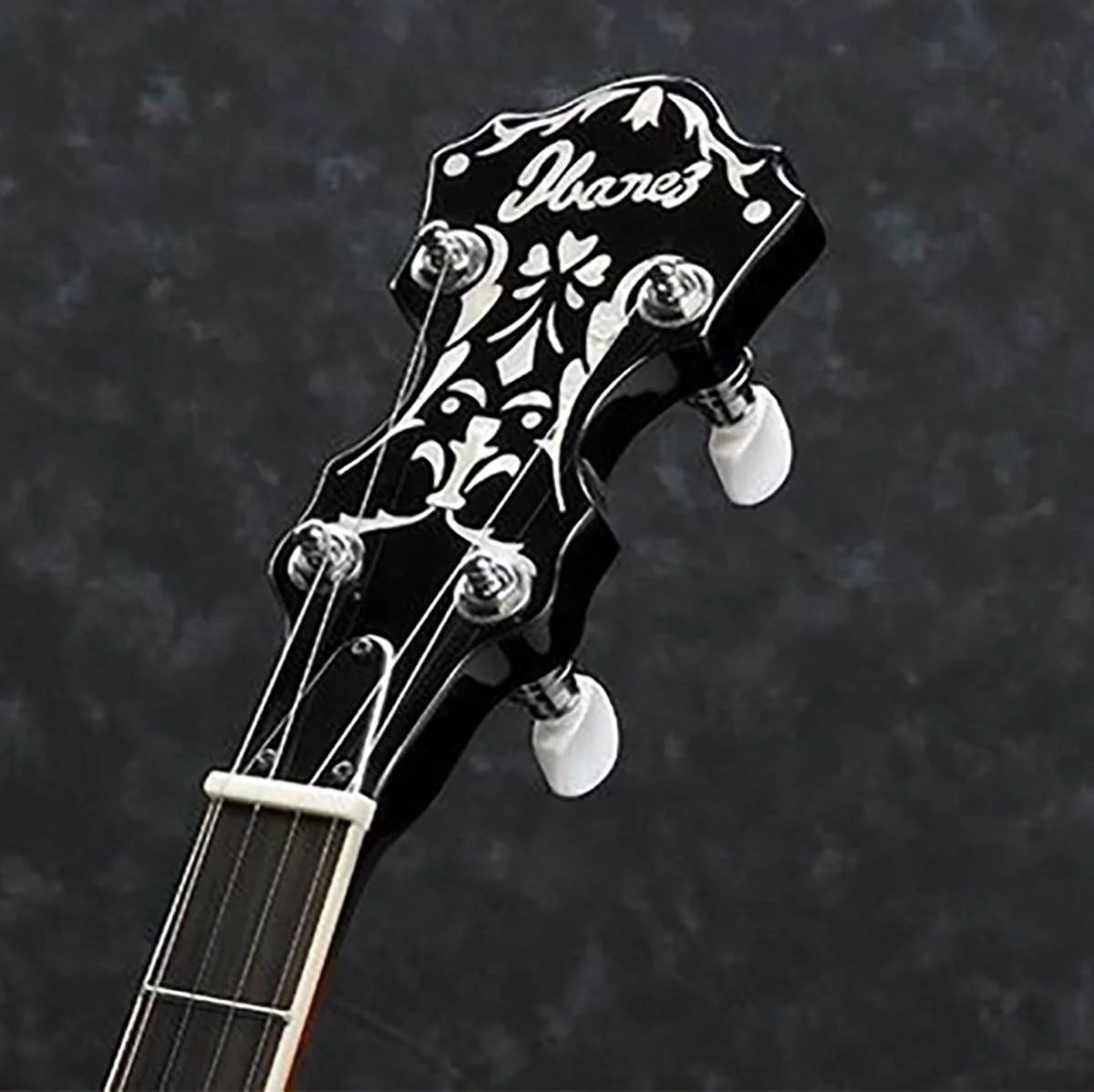 Ibanez B300 5-String Banjo