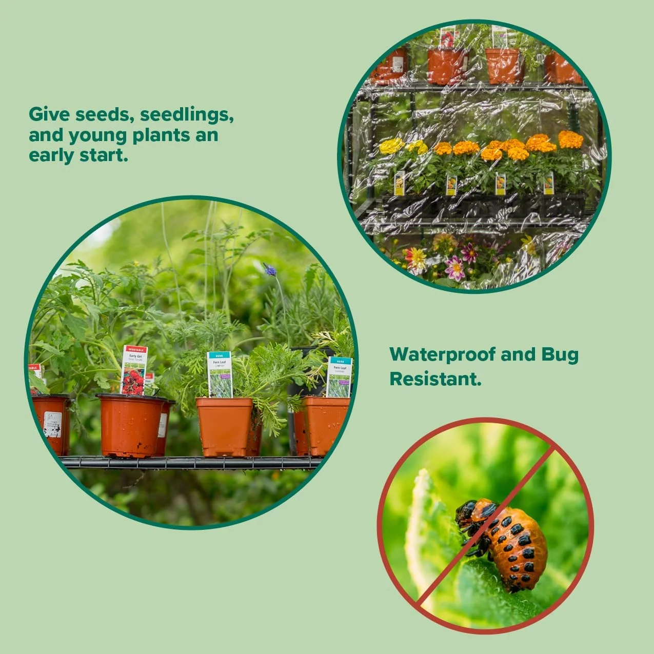 R687 4-Tier Mini Greenhouse, 27