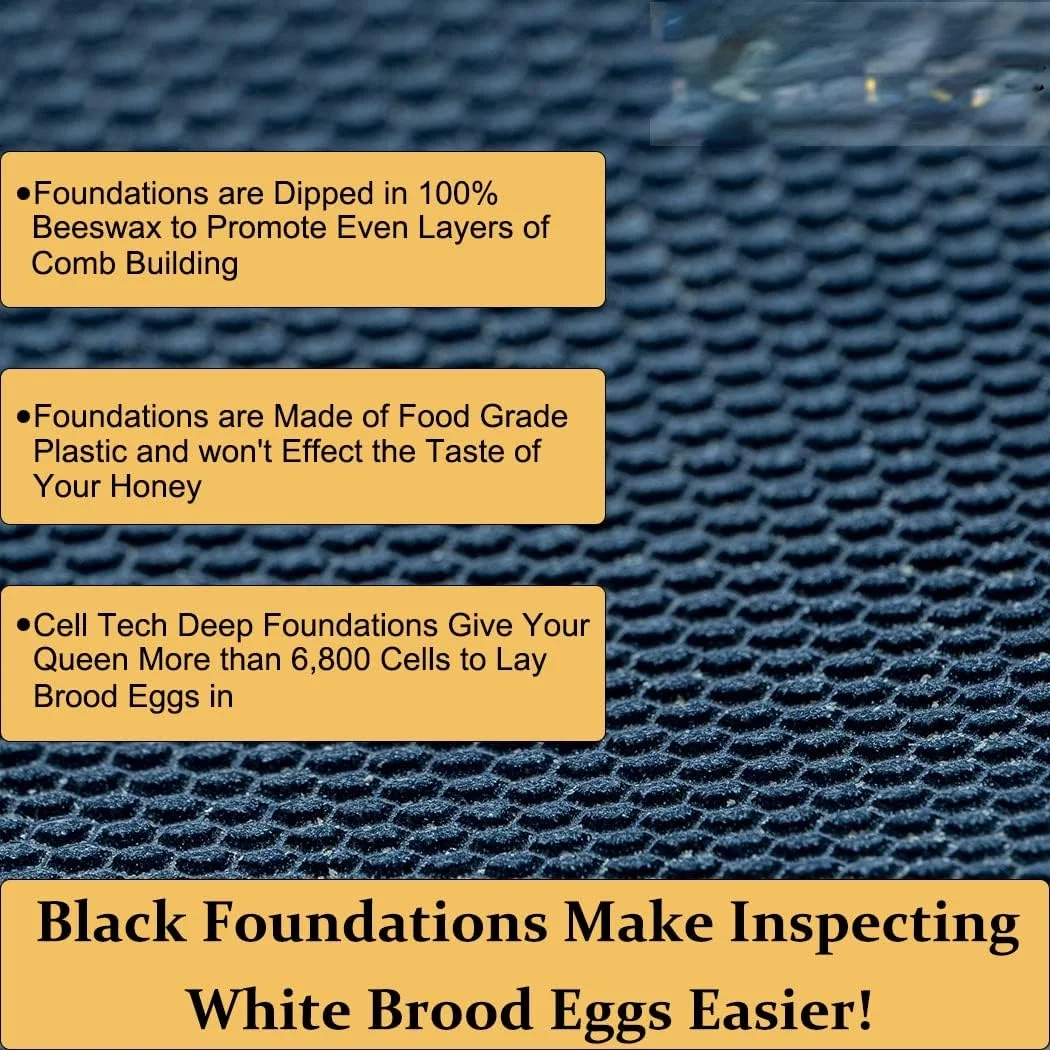 10 Frame Langstroth Bee Hive Coated with 100% Beeswax Includes Beehive Frames and Waxed Foundations (2 Deep Boxes & 1 Medium Box)