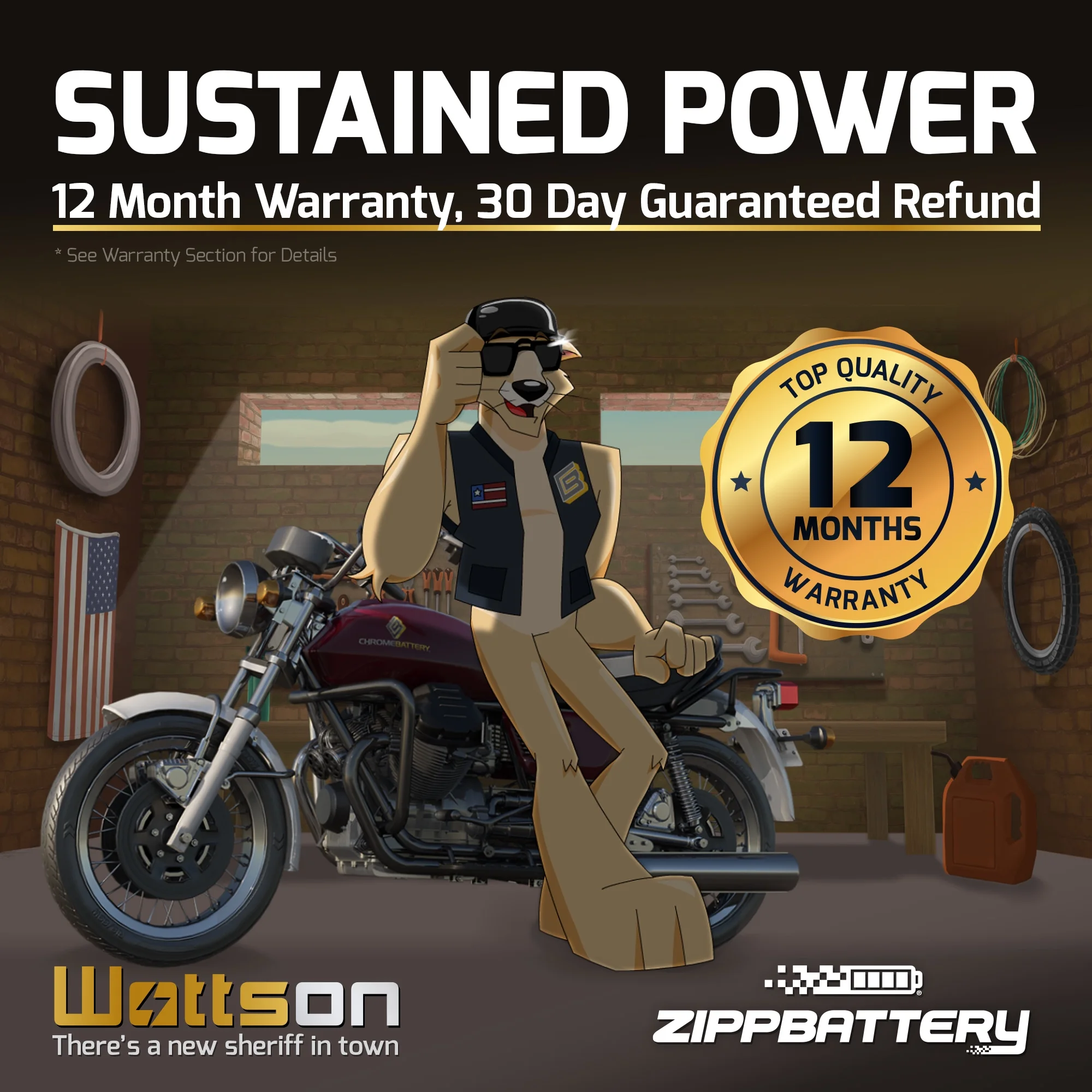 Zipp Battery YTX14AH-BS (14AH-BS 12 Volt,12 Ah, 210 CCA) Atv Battery for Polaris 400cc 2008