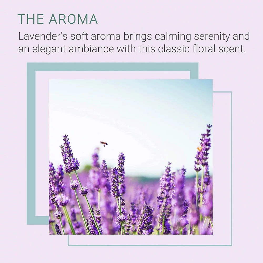 Sparoom Lavender Reed Diffuser Oil Refill, 8.45 fl oz – Long Lasting, Easy to Use, Lavender Natural Essential Oil