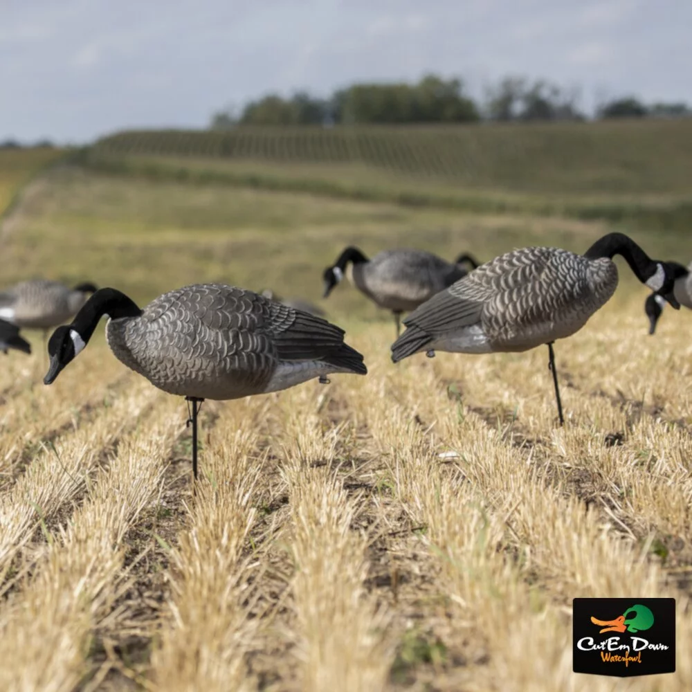 LUCKY DUCKY DECEPTION SERIES COLLAPSIBLE FULL BODY CANADA GOOSE DECOYS