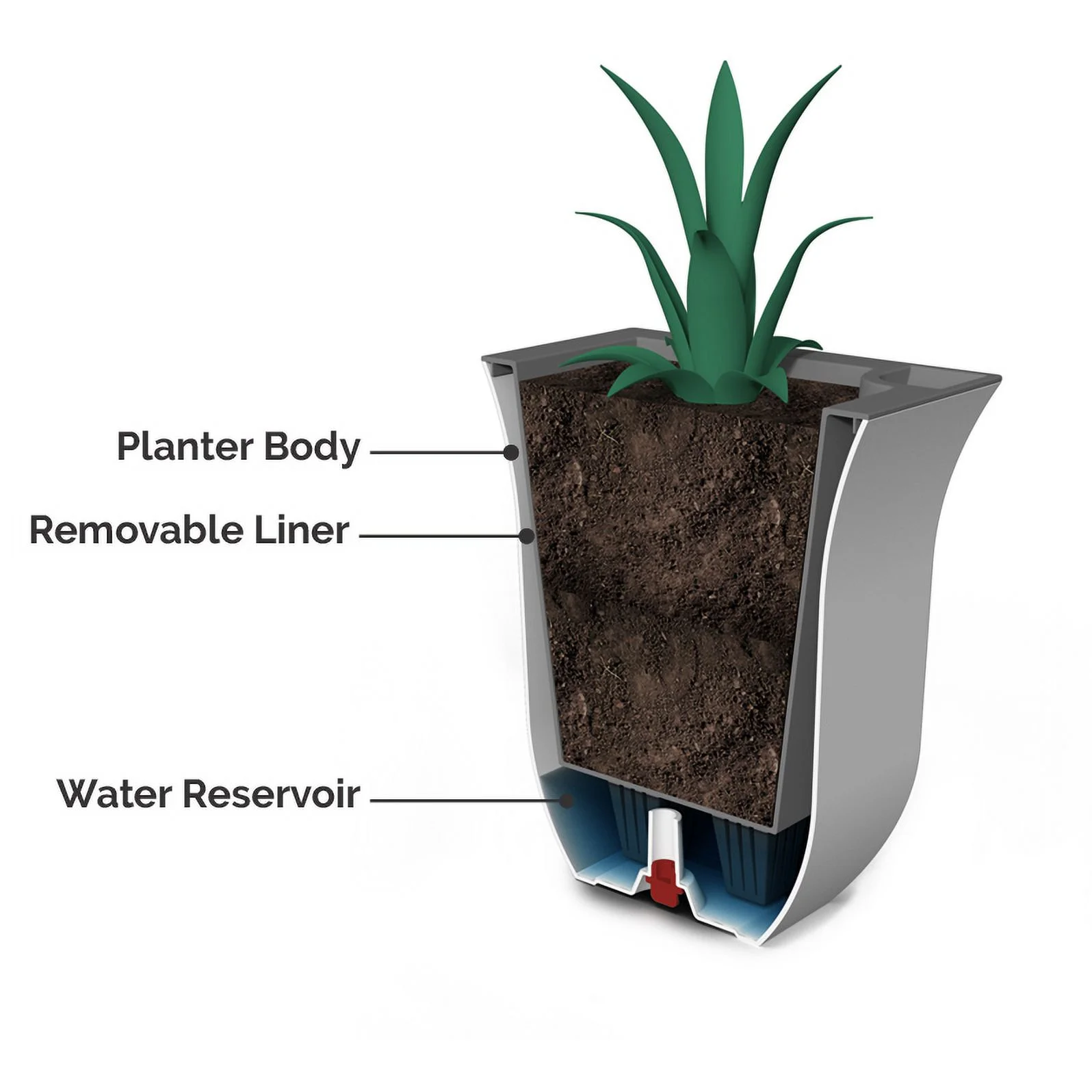 Valencia 8in Wall Mount Planter - Single - Black