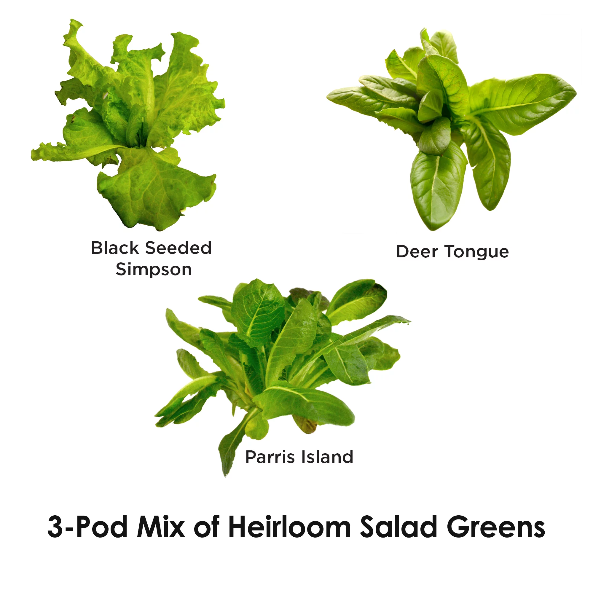 AeroGarden Heirloom Salad Greens Mix Seed Pod Kit, 3-Pod