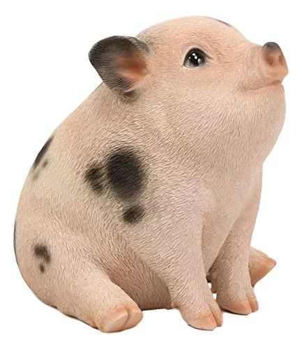 Ebros Napoleon Fat Piglet Pig Statue 6