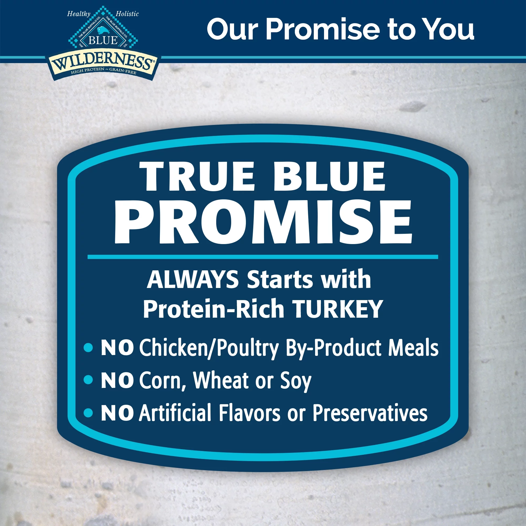 Blue Buffalo Wilderness High Protein Grain Free, Natural Adult Wet Dog Food, Turkey & Chicken Grill 12.5-oz can (pack of 12)