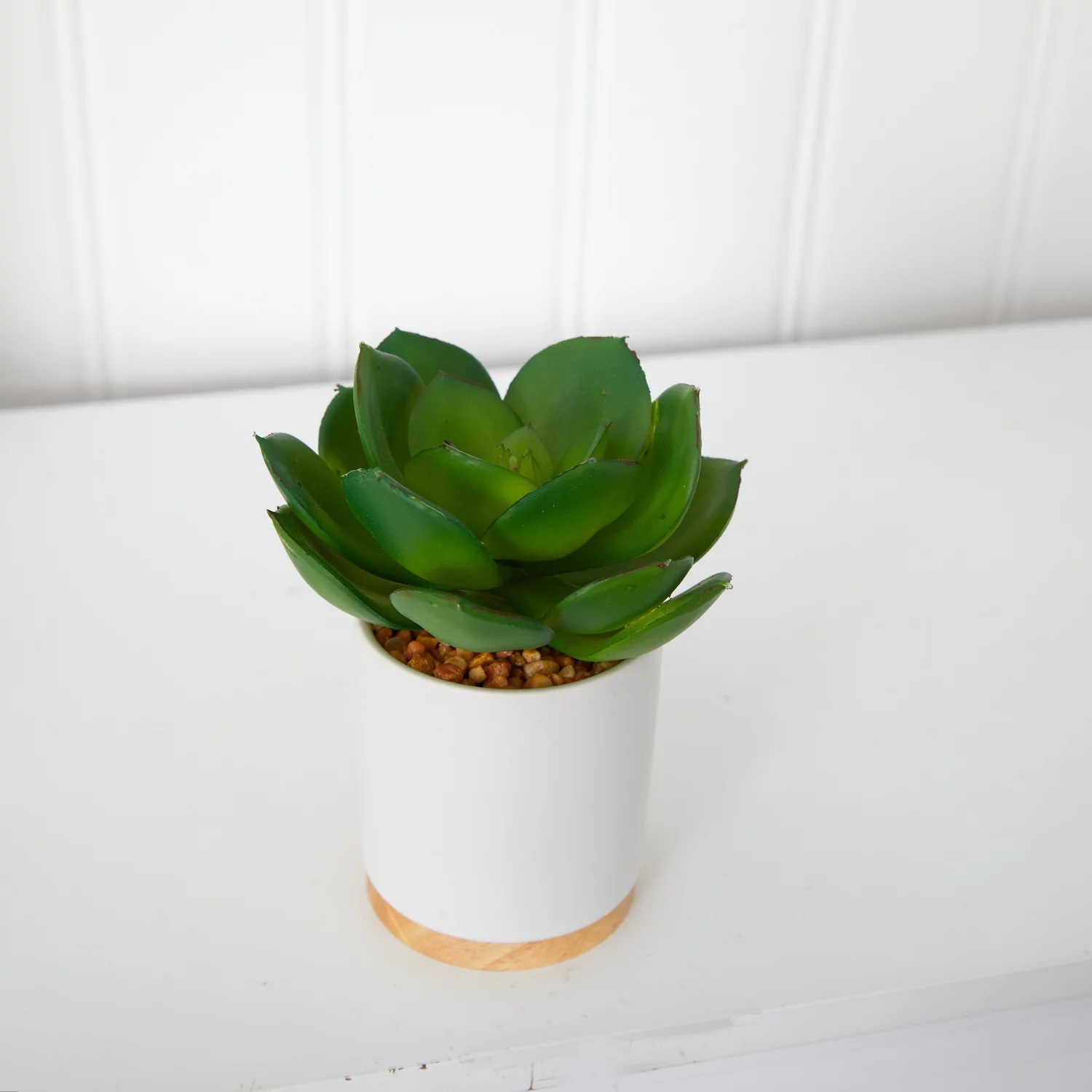 Nearly Natural P1660 6 in. Succulent Artificial Plant in White Ceramic Planter