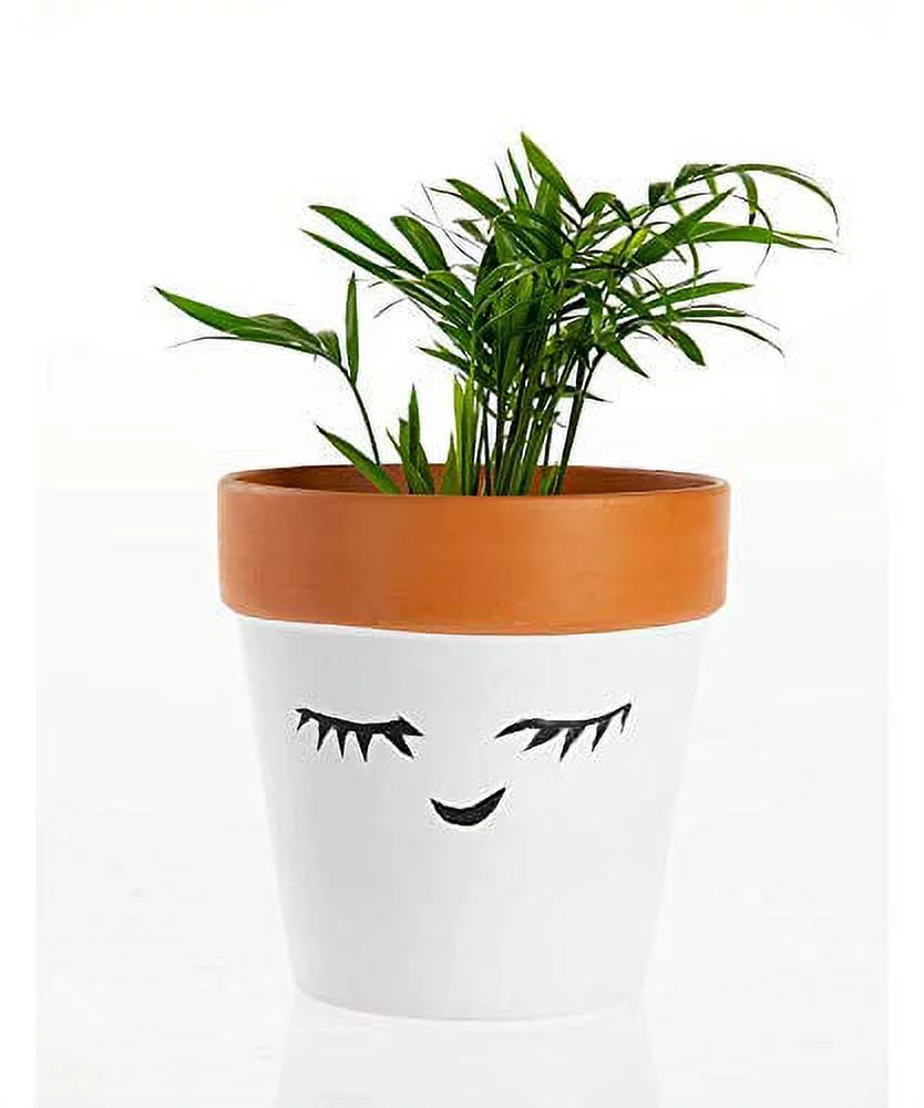 Terra Cotta Ceramic Collection |  Indoor and Outdoor Planter (Terra Top w/Faces - Set of 2)