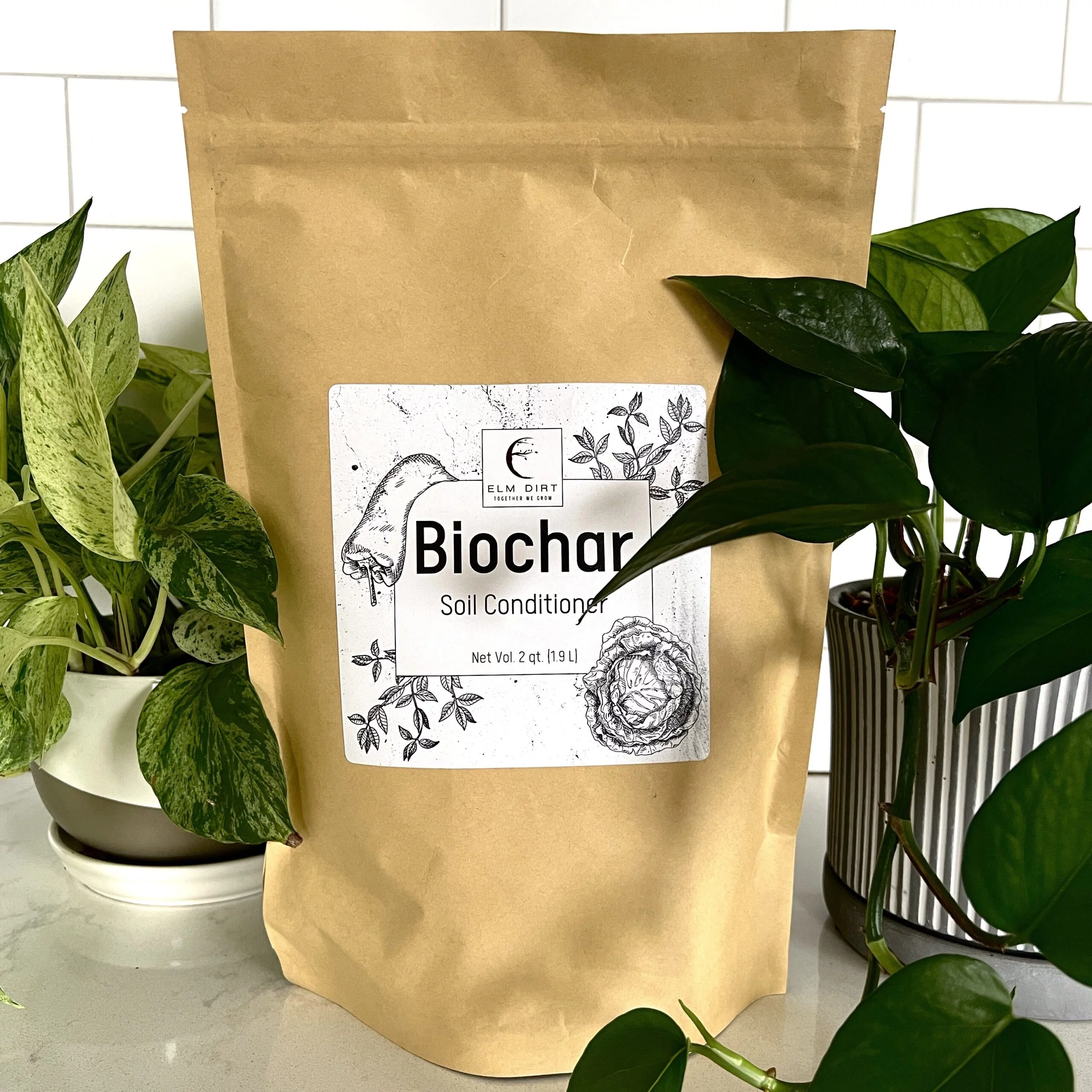 Biochar