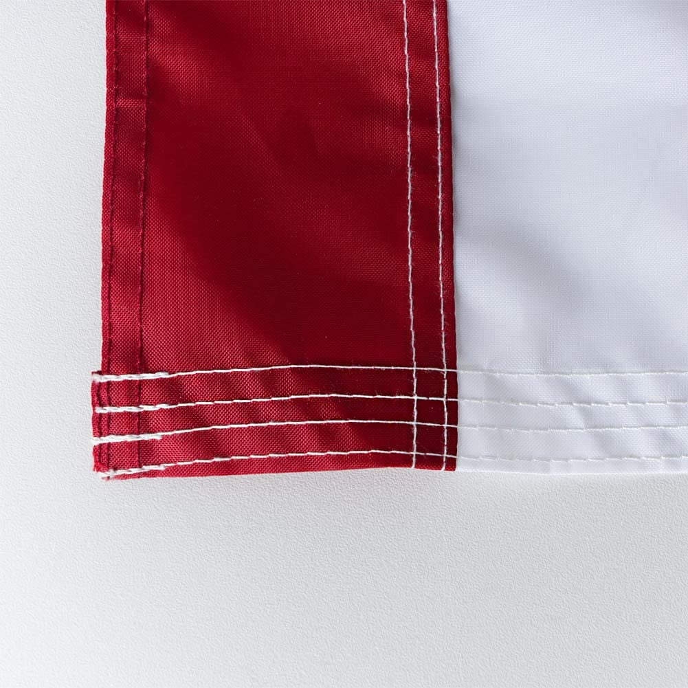 TOPFLAGS Premium American Flag 4x6 Outdoor, Heavy Duty 210D Nylon US Flag, Strongest Longest Lasting with Embroidered Stars/Sewn Stripes/Brass Grommets