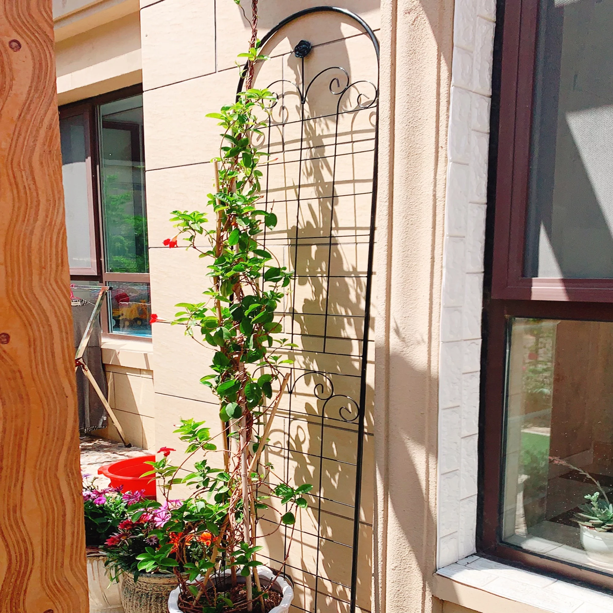 Holaki 2 Pack Metal Garden Trellis for Climbing Plants Outdoor 86.7'' x 19.7'' Rustproof Plant Support Rose Trellis Netting Trellis Black