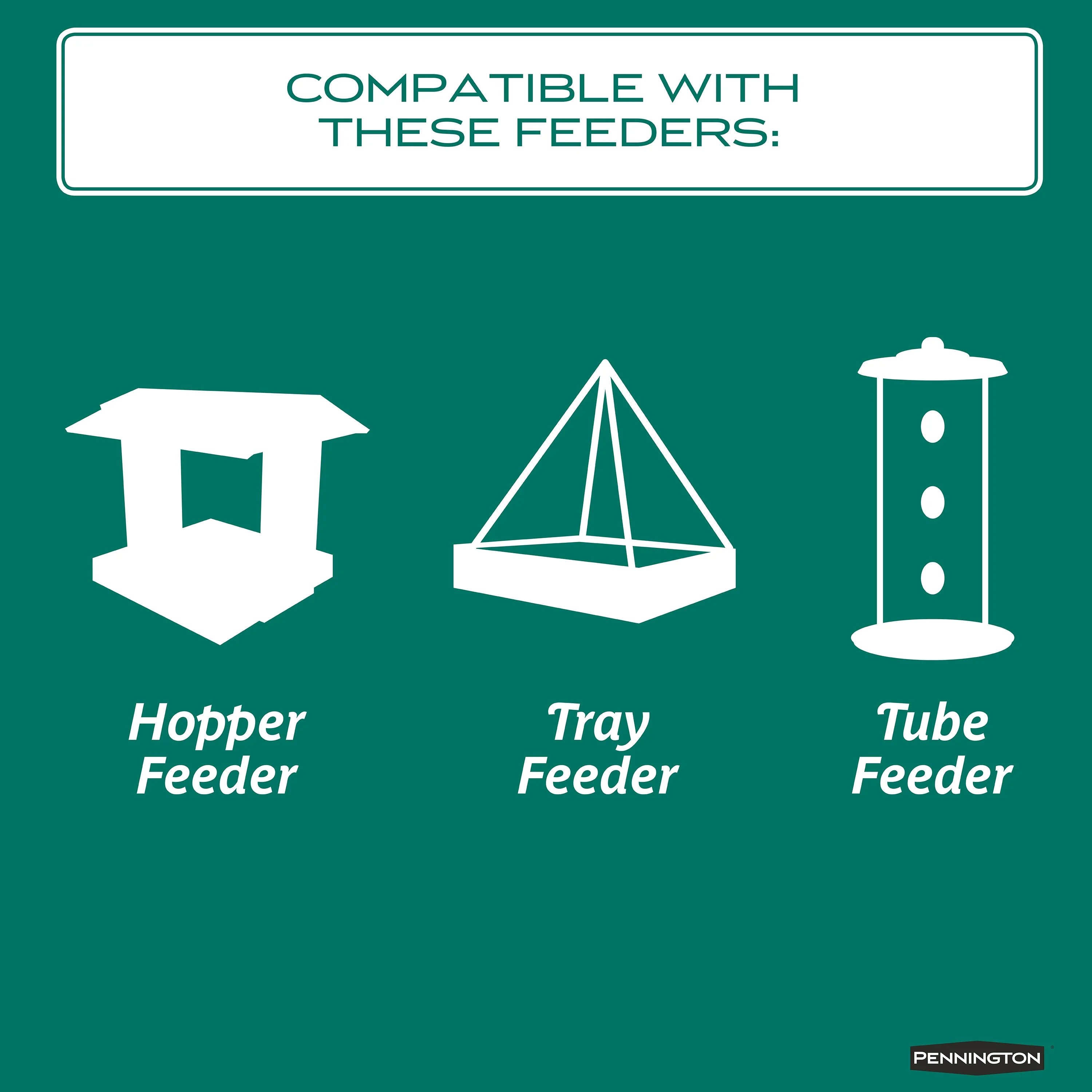 Pennington Select Safflower Seed, Wild Bird Feed and Seed, 7 lb. Bag, 1 Pack, Dry