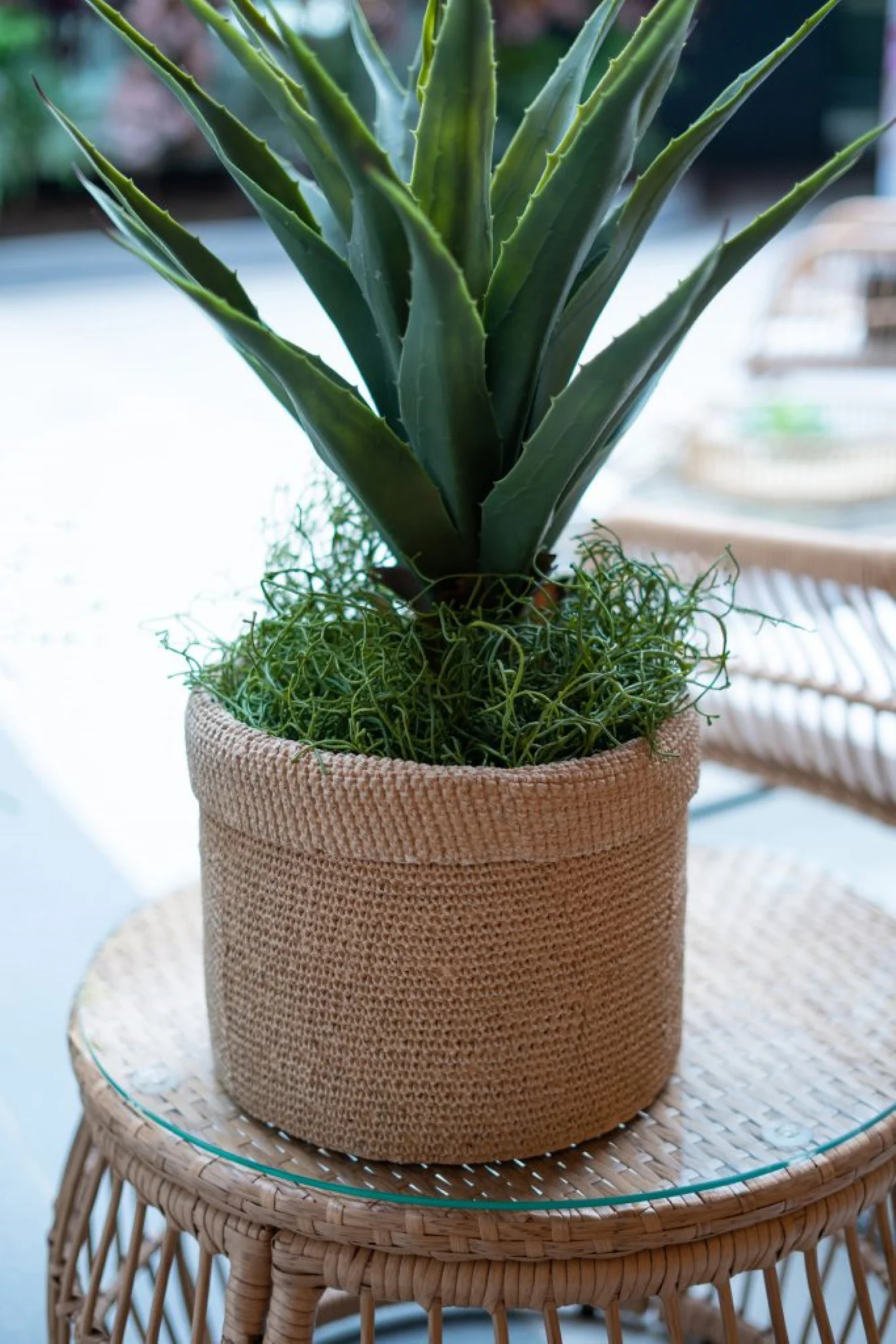 CC Home Furnishings Round Woven Basket Planters - 14.5