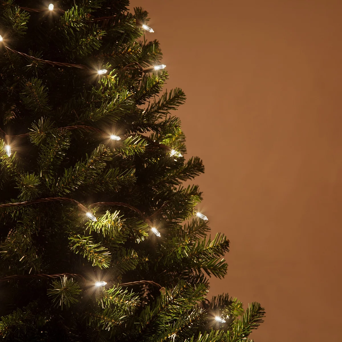 Wintergreen Lighting T5 LED Mini Lights Brown Wire Christmas Lights, Brown Wired Clear Mini Lights, LED Christmas Lights, 50 Lights