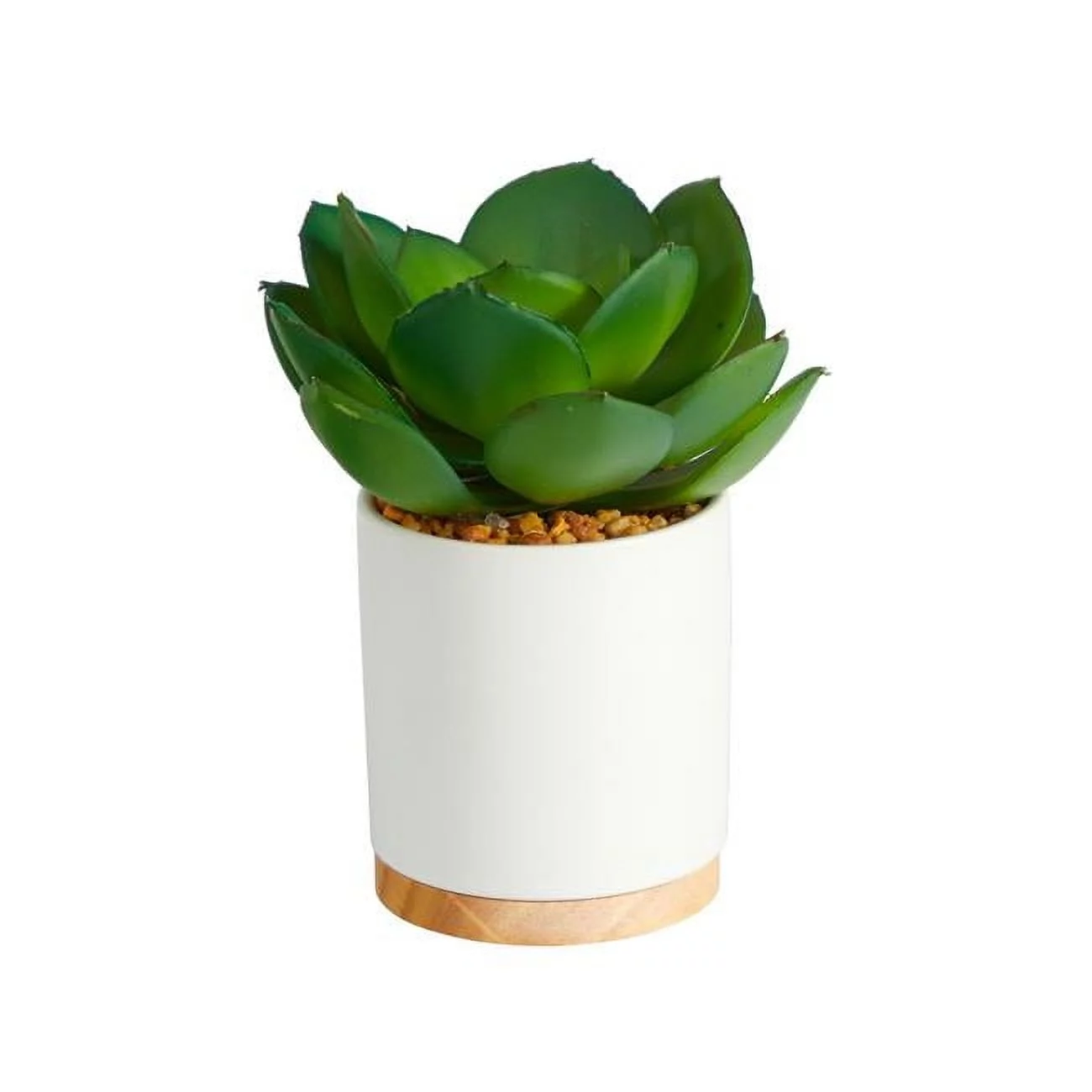 Nearly Natural P1660 6 in. Succulent Artificial Plant in White Ceramic Planter
