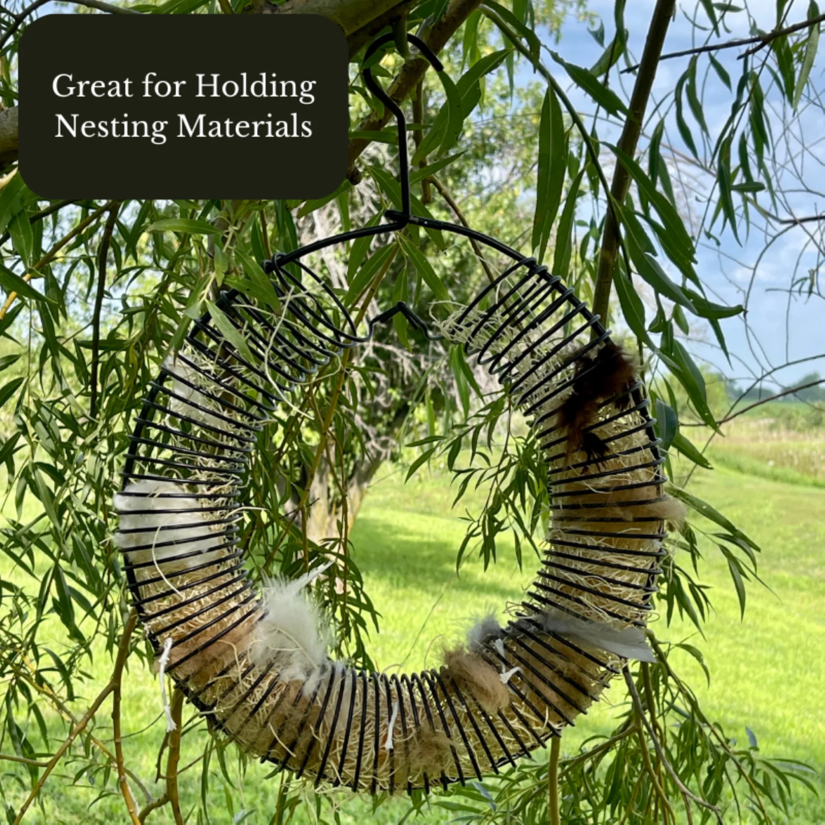 Songbird Essentials Bird Feeder Squirrel Feeder Whole Peanuts Wreath Black