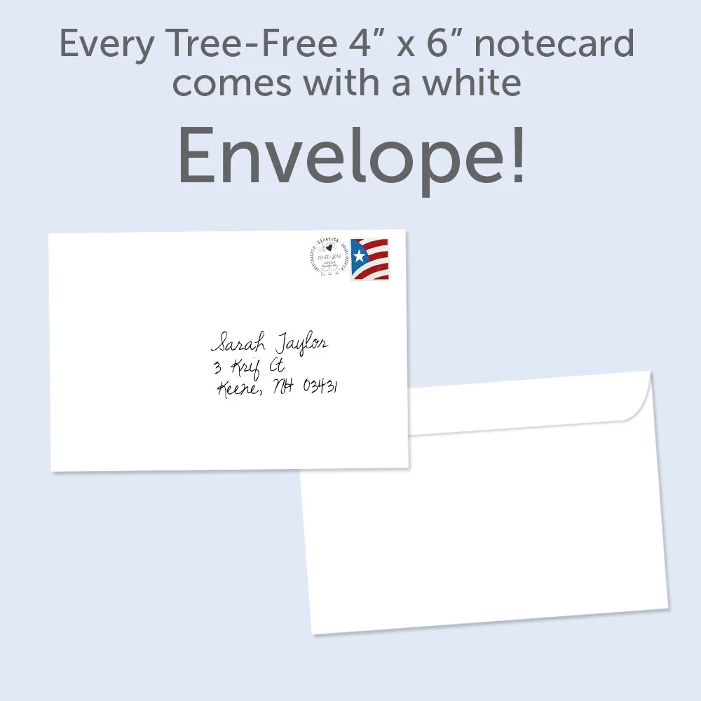 Tree-Free Greetings All Occasion Greeting Card 12 Pack, 100% Recycled Paper, 4x6, Beautiful Change (FS65945)