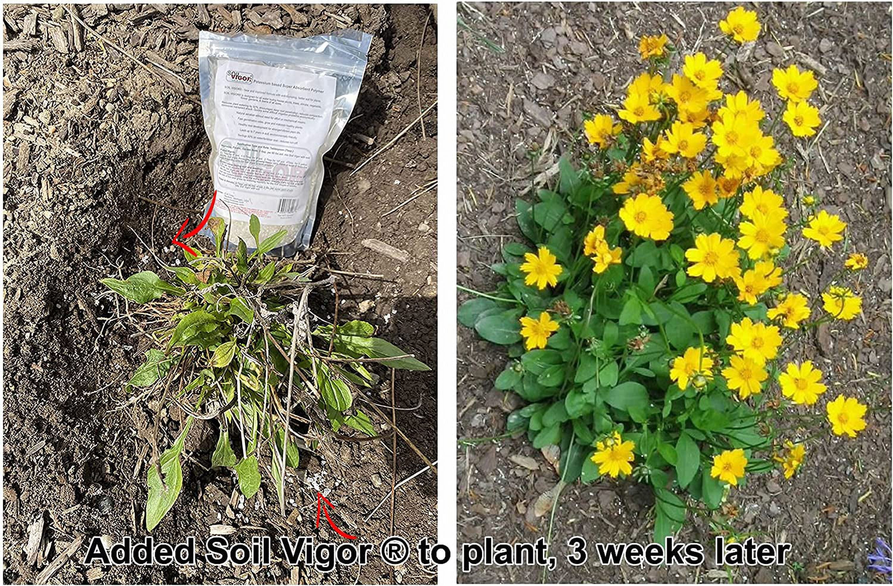 Potassium Polyacrylate Keep Moisture and Regulate The ph of Soil for Plant 5 Pounds