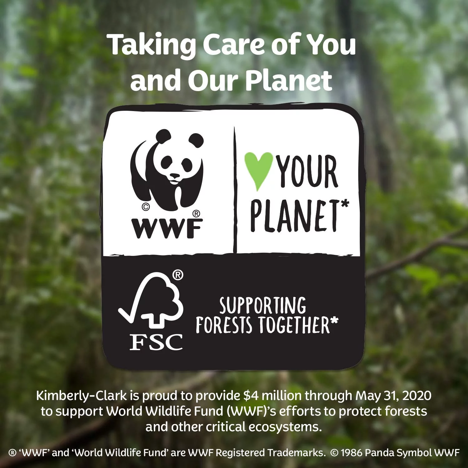 Kleenex Ultra Soft Facial Tissues, 8 Flat Boxes 120 Tissues per Box (960 Total Tissues) (Packaging May Vary.)