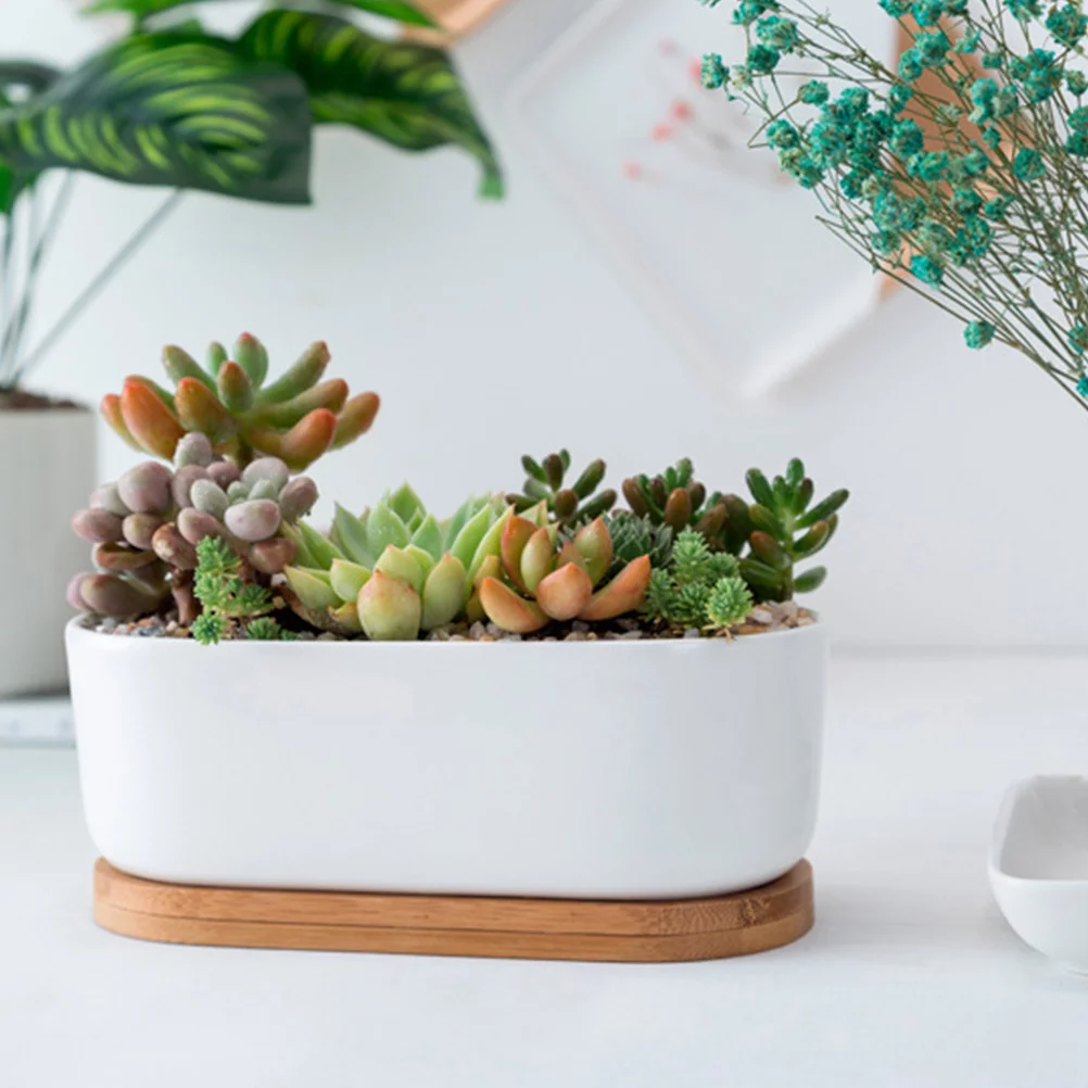 Guichaokj 2pcs Ceramic Succulent Bonsai Plant Pot Cactus Flower Planter with Bamboo Saucer