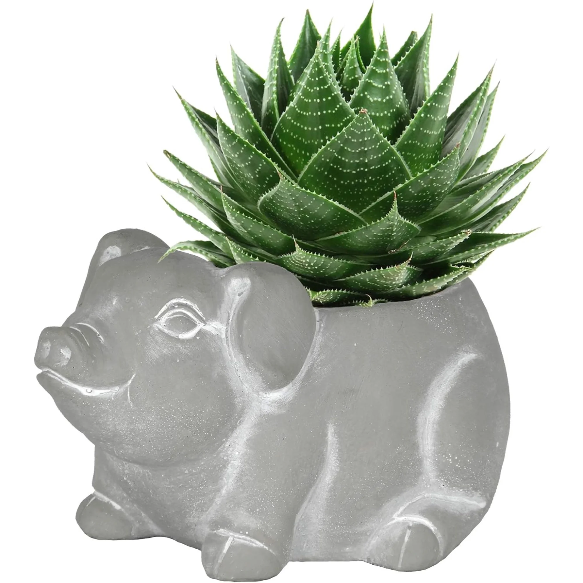 Classic Home and Garden Cement Buddies Indoor Outdoor Planter with Drainage Hole, Piglet, Natural Gray, 6.5in