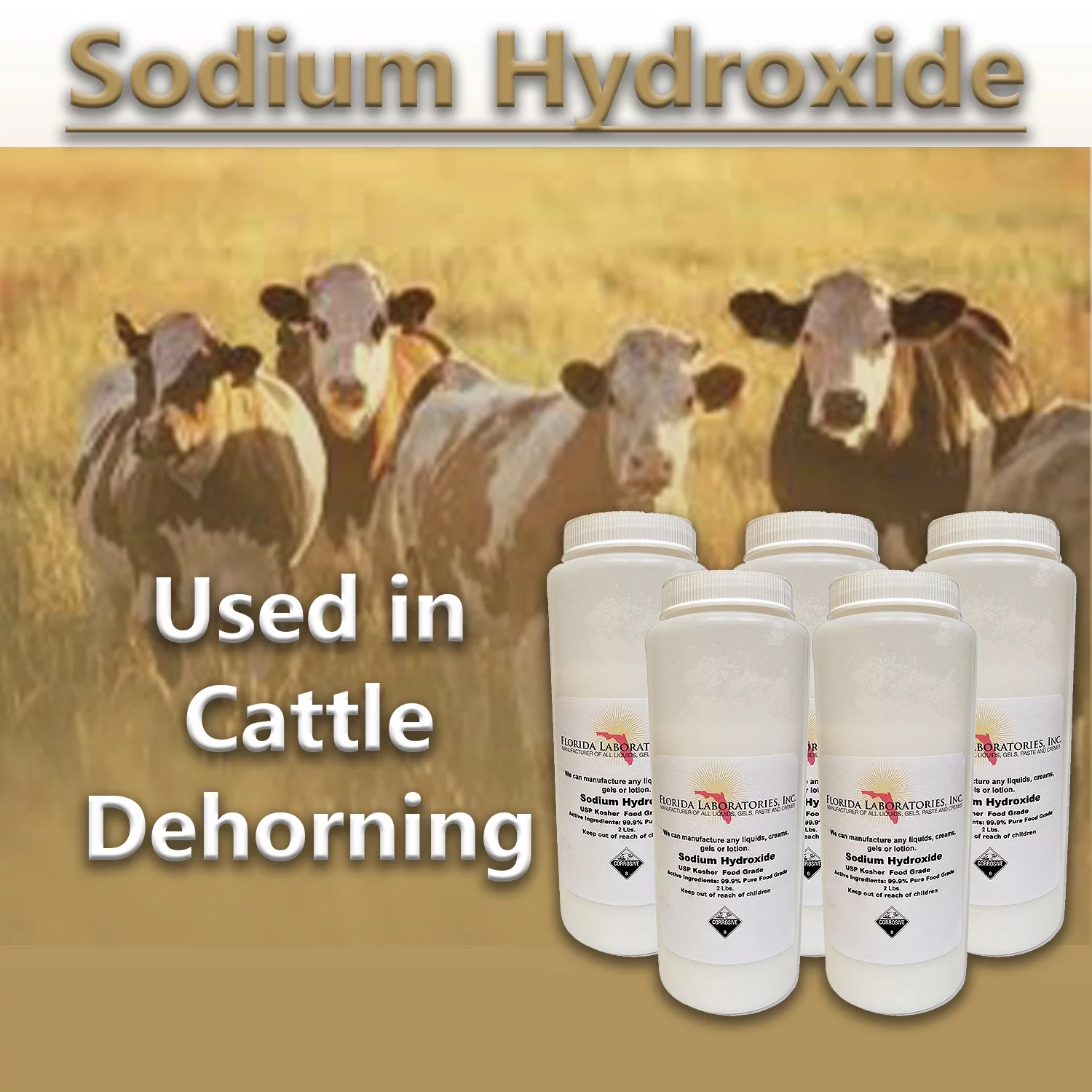 Sodium Hydroxide 99.9% Pure Food Grade Beads Caustic Soda lye 10 Lbs (Pounds)