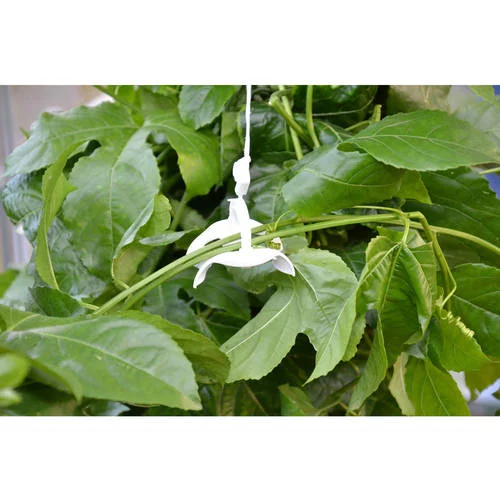 Palram - Canopia Greenhouse Trellising Kit