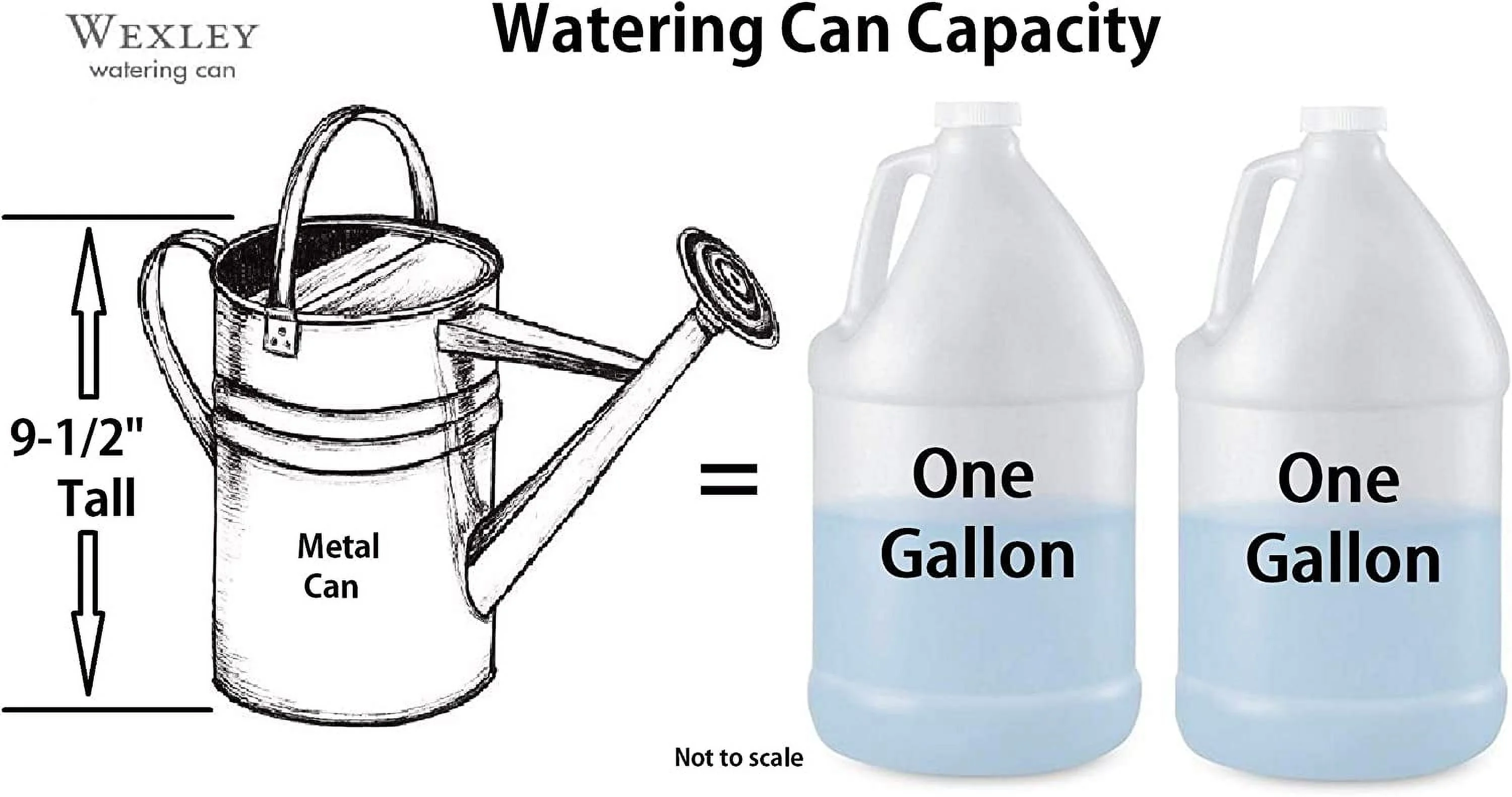 MPT01501 Watering Can Wexley Metal, 2 Gallon, Chamomile