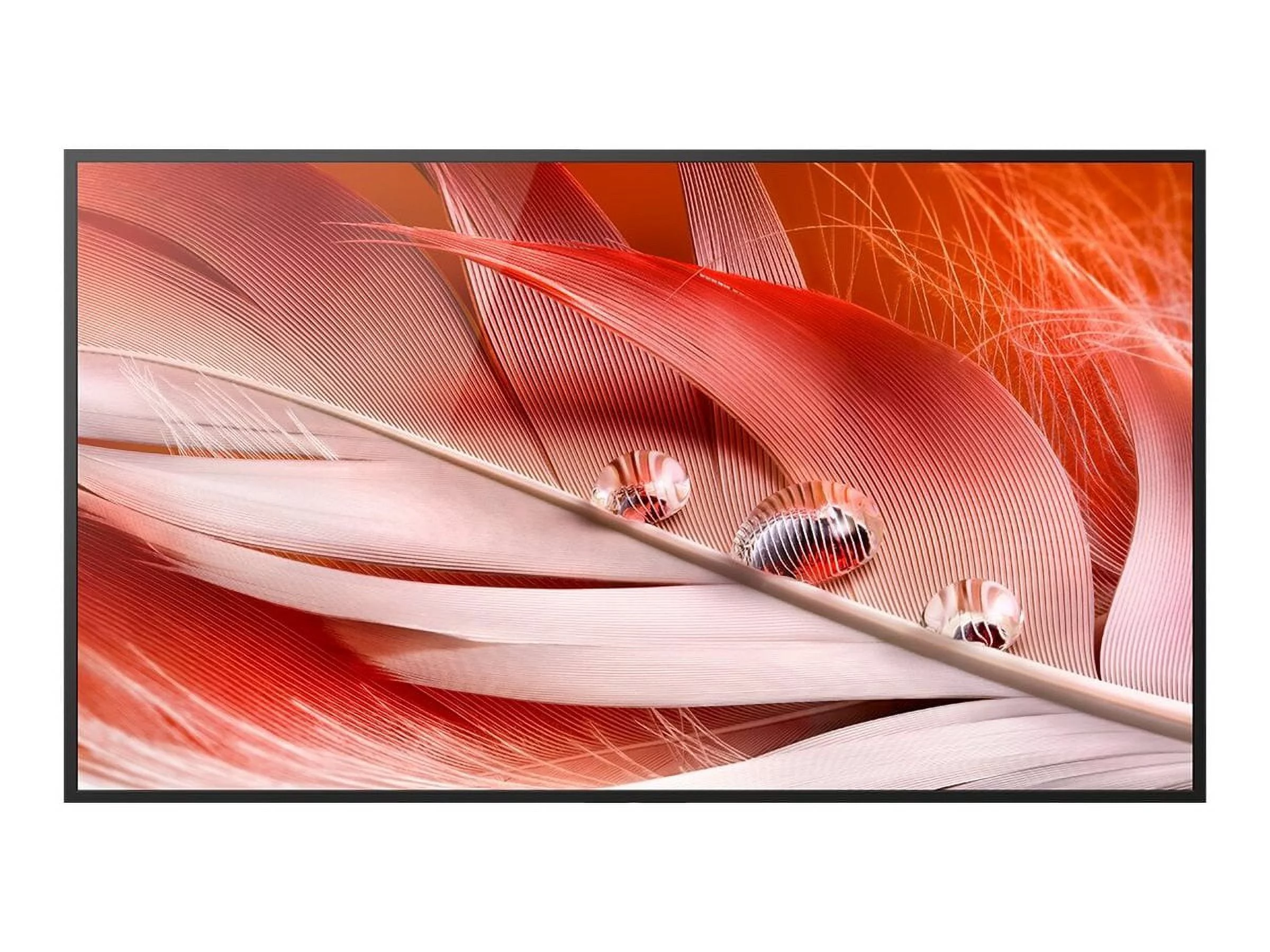 Sony Bravia XR XR-100X92 - 100