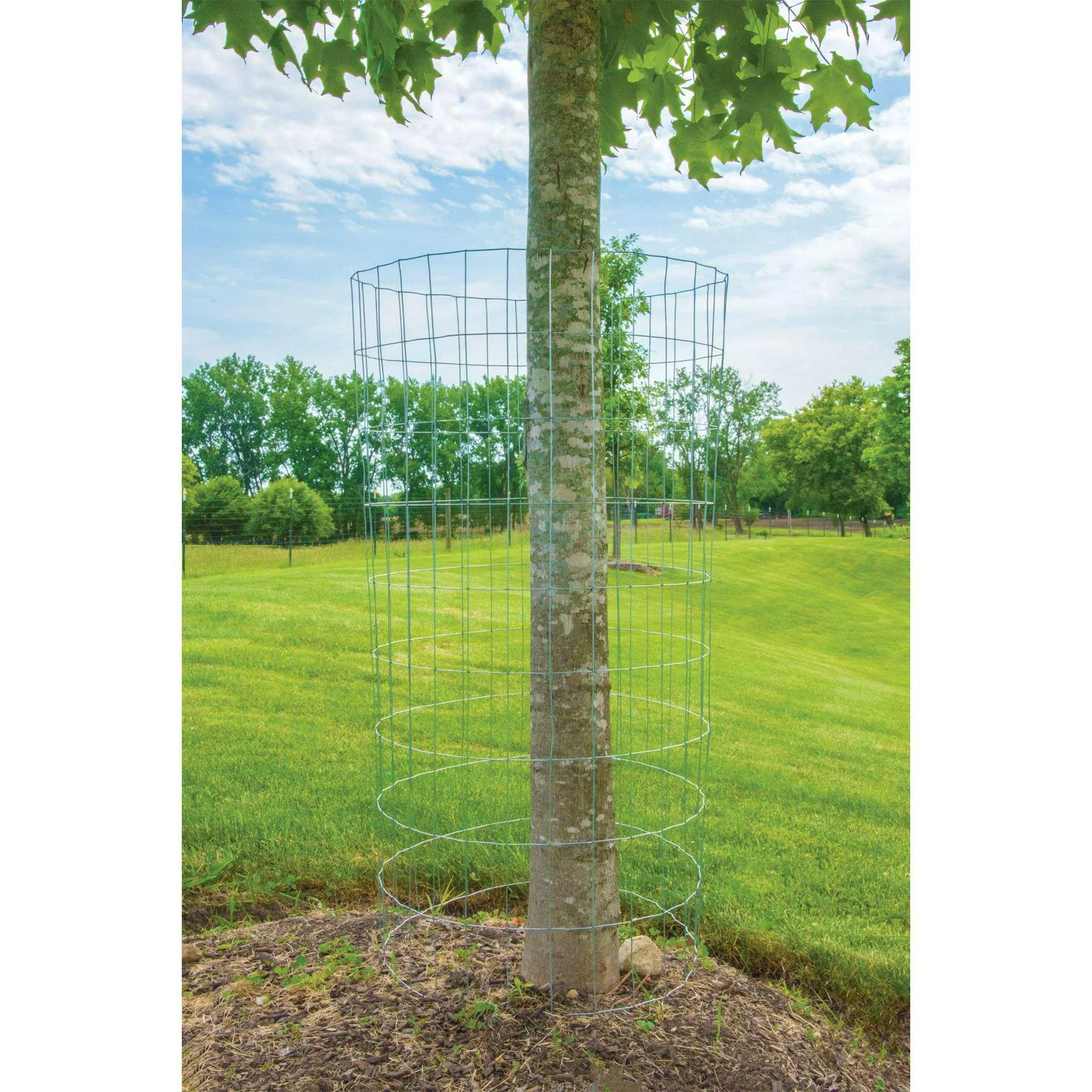 YARDGARD Welded Wire Economy Fence with 2 x 3 Inch Mesh, 3 x 50 Foot