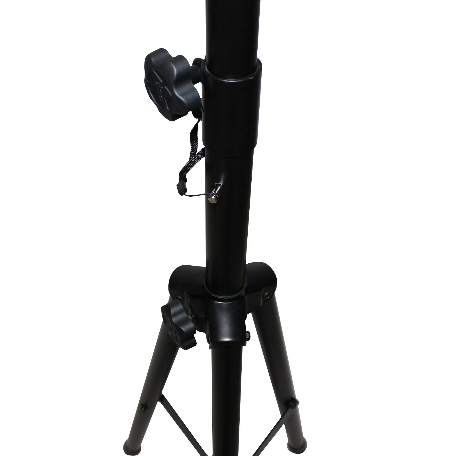 (2) Alto Professional TX310 10