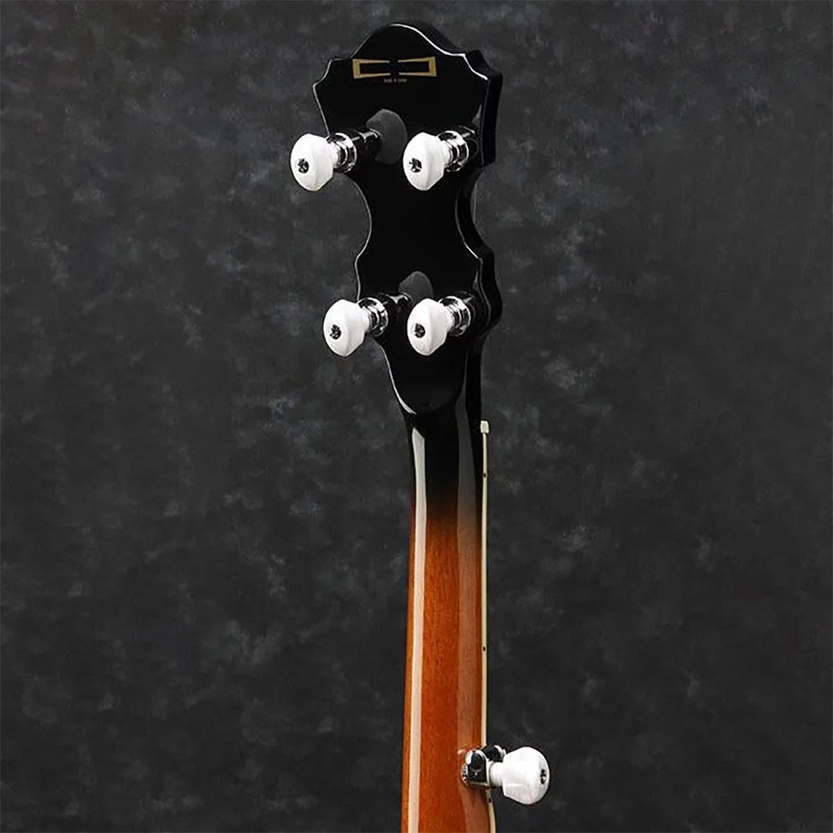 Ibanez B300 5-String Banjo