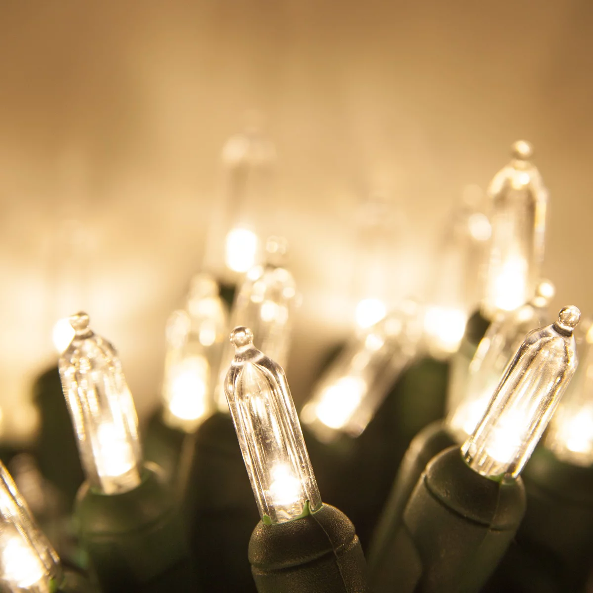 50 T5 LED Warm White Mini Christmas Tree Light Set, 4