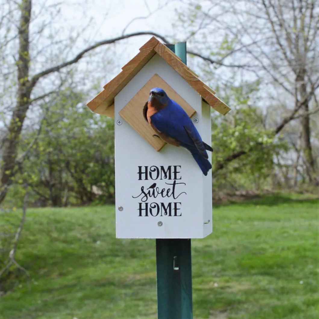 Wild Wings Farmhouse Cedar Bluebird House, White