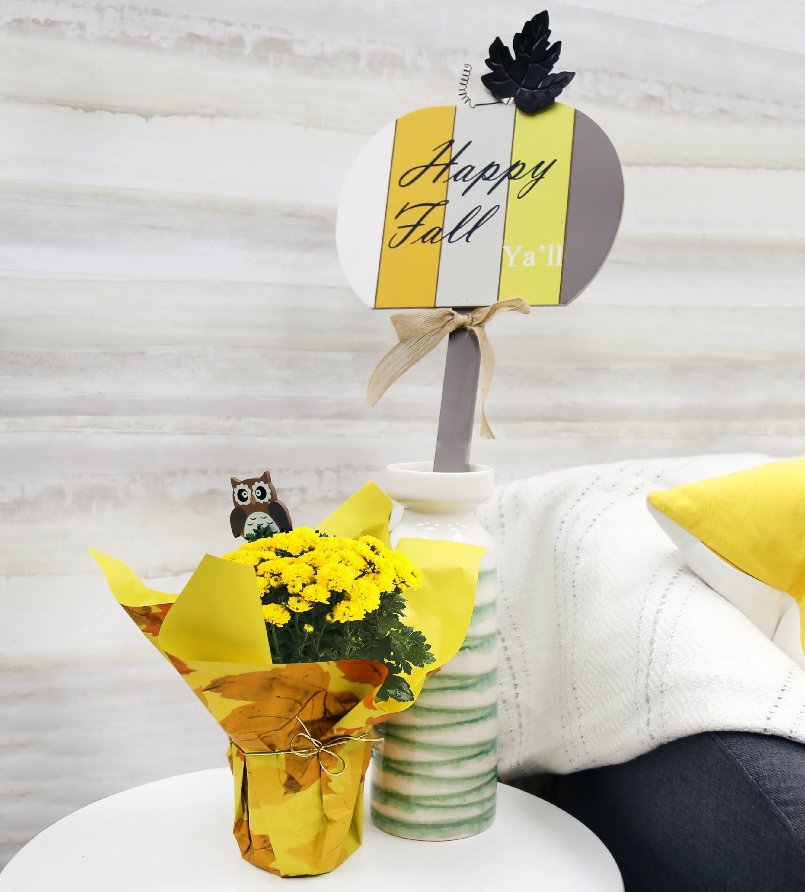 11in. Tall Yellow Mums; Bright, Direct Sunlight Plant in 4in. Gift Wrap, 4-Pack