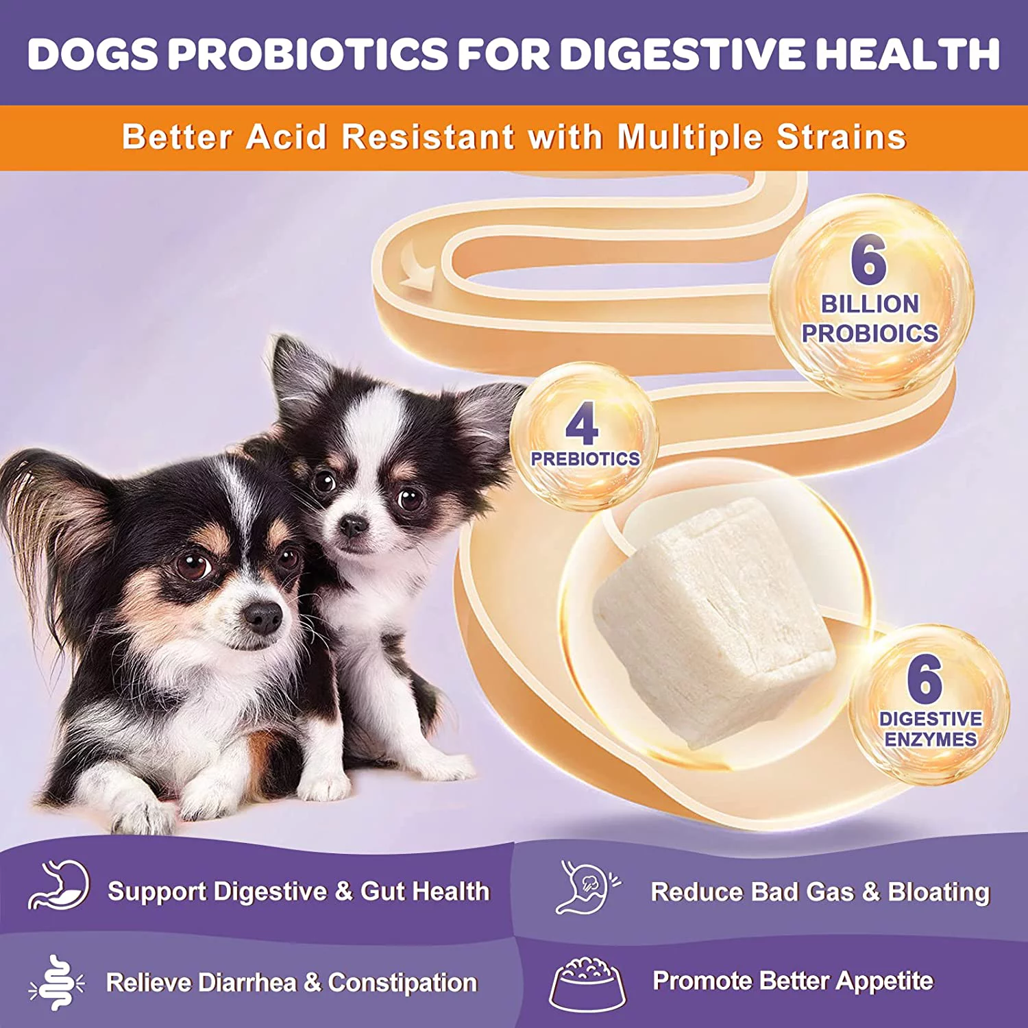 Probiotics for Dogs  6 Billion CFUs  Freeze Dried Dog Probiotics with Prebiotics and Digestive Enzymes  Vitamins and Omega 3  for Gut & Skin & Immune Health  Allergy Itch Relief