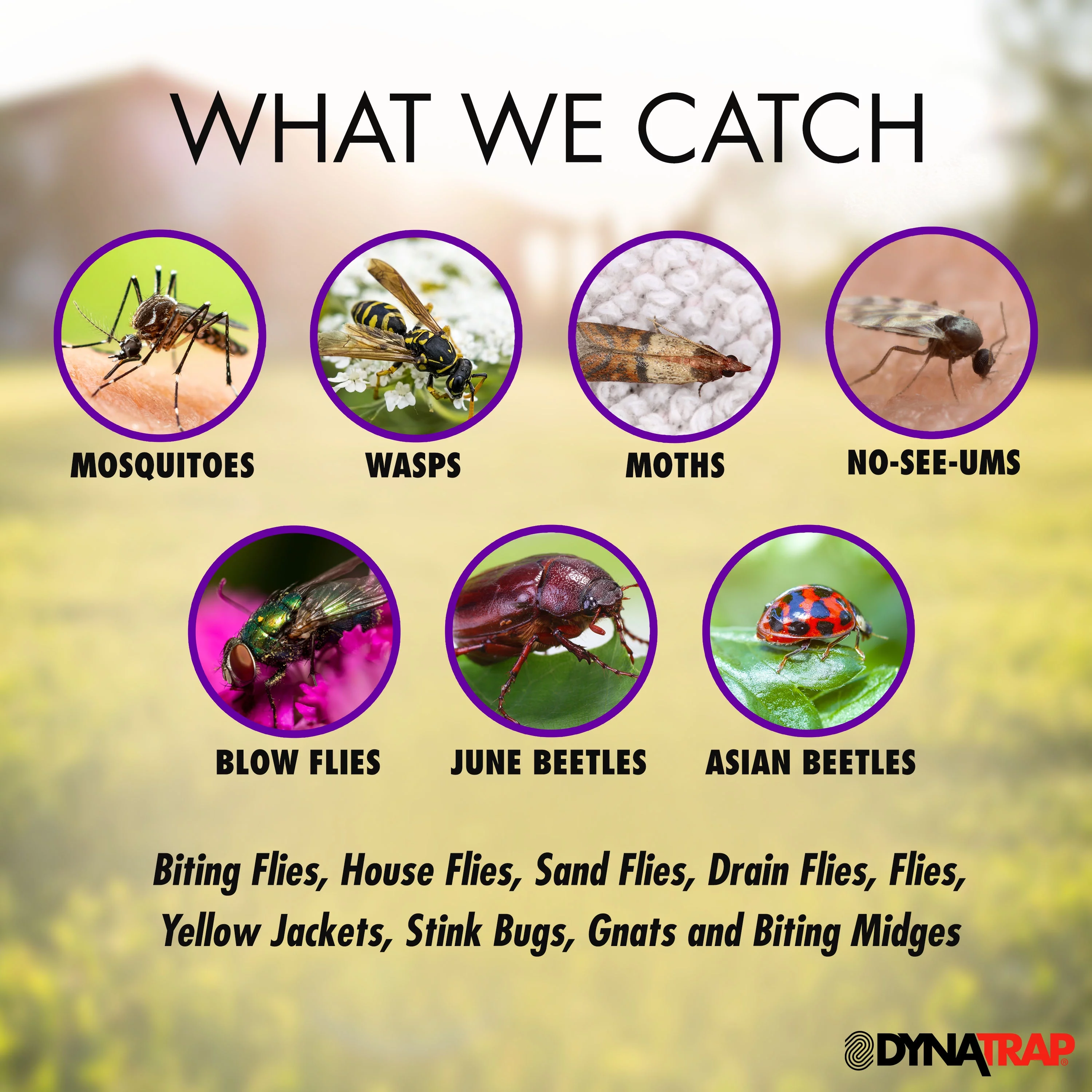 DynaTrap Insect Trap - 1 Acre
